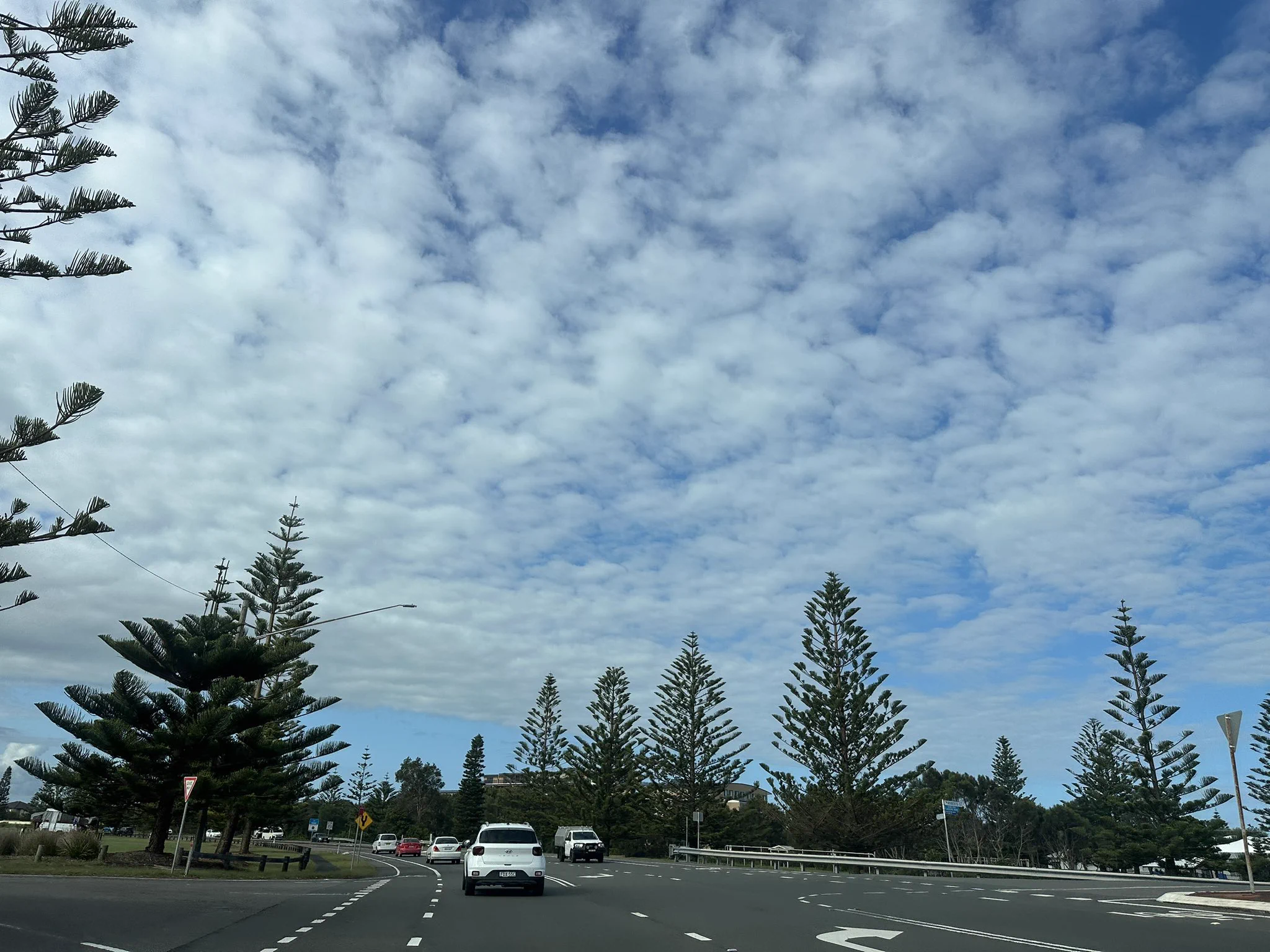 有central coast的电工没啊？ https://t.co/7ebDGLWT92