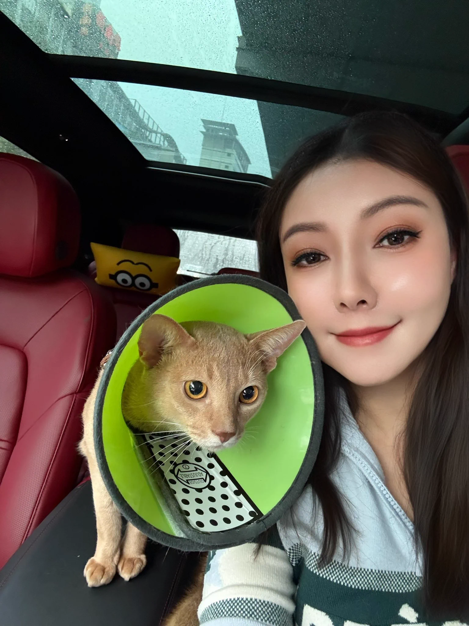多比急性肠胃炎住院，老母亲的心简直要碎了，现在逐渐好转，可以走读打针即可。 https://t.co/N84YkntQyr