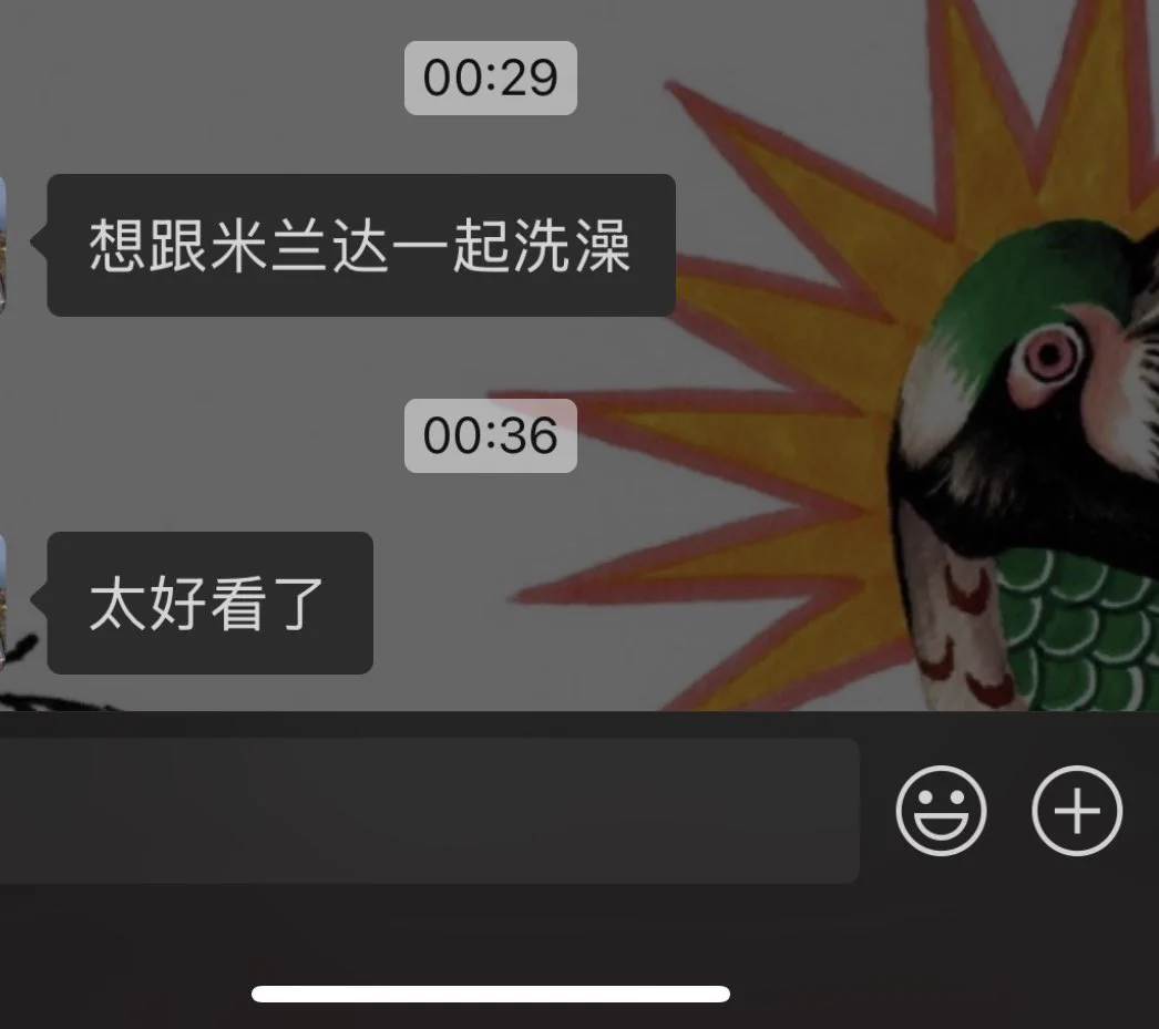 摩多摩多 https://t.co/G29E1PkgGY