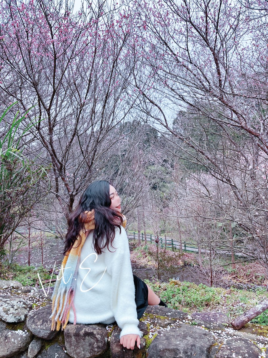 帶爹娘來南庄🍓採草莓
意外的看到了今年的櫻花🌸

#OL穿著得體的日常 #櫻花 

妹妹被我訓練有成
今天拍了很多好看的照片⸜(* ॑꒳ ॑* )⸝ https://t.co/OARQ4vOJRf