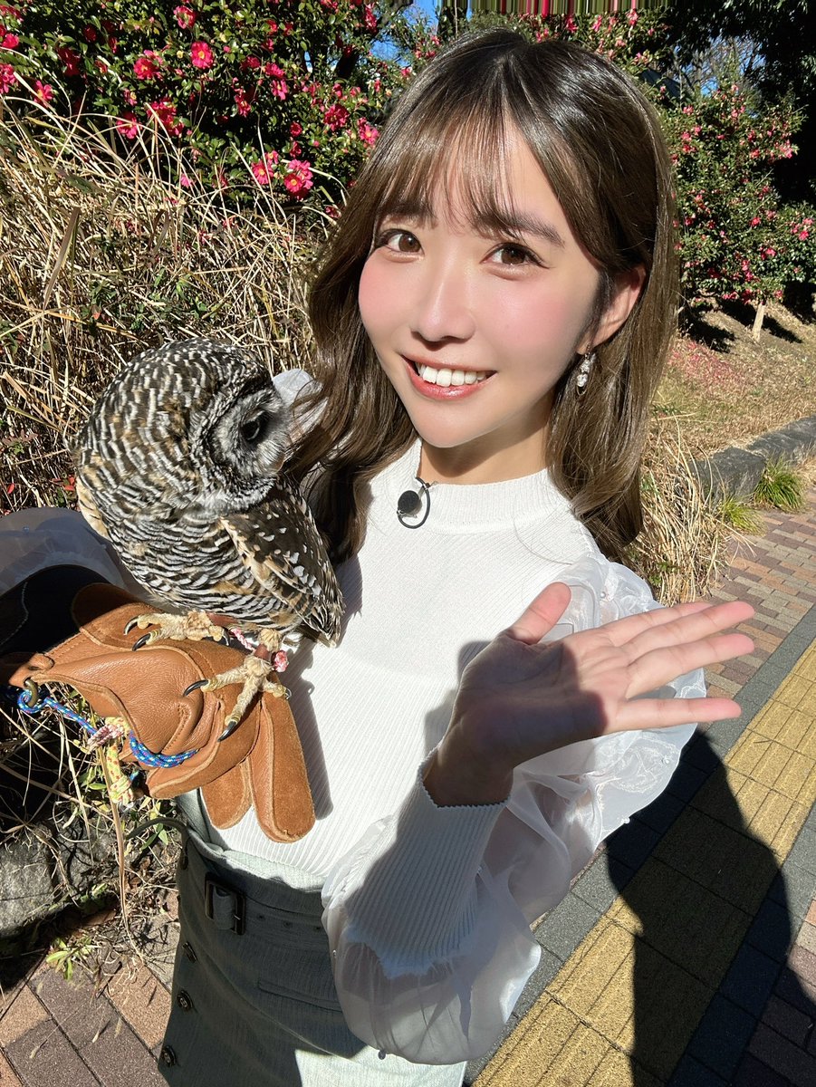 [おしらせ]

本日さんいん中央テレビさんにて放送「ハシアゲ」に出演します✨

21:45~でOPENREC配信と少し被ってしまうのですがぜひチェックお願いします💪 https://t.co/0f5jiAucsD