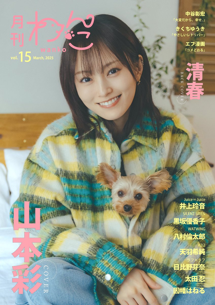 【解禁】月刊わんこvol.15表紙公開＆Amazon受付スタート！📗🐶✨

月刊わんこvol.15 表紙巻頭特集：山本彩／裏表紙：清春
発売日：2025年2月15日
Amazon：https://t.co/zwyySBoqu4
※最速で受け取れます

【目次】
山本彩…P2〜15 @SayakaNeon @SY_official_ 
清春…P16〜29 @ki_spring 
因幡はねる…P30〜35 @Haneru_Inaba 
天羽希純（＃2i2）…P36〜45 @amau_kisumi 
みんなのわんこ自慢！我が家のわんこコーナー…P46〜53
井上玲音（Juice＝Juice）…P54〜63 @JuiceJuice_uf 
八村倫太郎（WATWING）…P64〜77 @Rintaro_watwing @watwing_info 
日比野芽奈様（ラフ×ラフ）…P78〜87 @hibino_meina @roughlaugh_o 
太田忍…P88〜95 @shinobu_ota_mma 
黒坂優香子様（SILENT SIREN）…P96〜105 @kurosakayukako @staffsaisai 
「大変だから、幸せ。」中谷彰宏 …P106〜107 @anjmyh 
１P漫画「優しいレトリバー」きくちゆうき …P108 @yuukikikuchi 
「みんなんちのワンちゃん似顔絵コーナー」きくちゆうき …P109
バースデー特集（2月生まれのワンちゃん大集合！） …P110〜111
「エフ漫画」efrinman…P112 @rinman3 

【説明】 
ワンちゃんたちの“可愛すぎる”瞬間を収めたビジュアルマガジン「月刊わんこ」。 
vol.15の表紙を飾るのは、現在ツアー中の山本彩さんと、愛犬の凛音ちゃん（ヨークシャー・テリア）。凛音ちゃんを見るたびに「可愛い！」と驚く山本さんも、不思議そうにカメラを見つめる凛音ちゃんも可愛く、ほのぼのした撮影となりました。 裏表紙は、60公演にも及ぶツアーを終えたばかりの清春さんと、愛犬のひるねくん（チワックス）。清春さんの周りをぐるぐる回ったり、清春さんに抱っこされてうとうとしたり、表情豊かなひるねくんの姿をお届けします。 そのほかにも、７つの特集を掲載。６人組ダンス＆ボーカルグループ・WATWING のメンバーで、役者としても活躍中の八村倫太郎さんは、実家で暮らす愛犬・ドリーちゃん（ポメラニアン× トイプードル）と２ヶ月ぶりの再会。Juice=Juiceの井上玲音さんには、愛犬の豆柴・小夏ちゃんとの仲良し姉妹っぷりを。オリンピック銀メダリストでもある元レスリング選手・太田忍さんには、ティファニーちゃん・ルアちゃん（共にトイプードル）への溺愛っぷりを見せていただきました。そのほか、天羽希純さんと、愛犬レオンくん（パピヨン）・シンバくん（チワワ×ミニチュアダックスフント）・カイオンくん（チワワ）。15周年記念ツアー真っ最中のSILENT SIRENの黒坂優香子さんと、愛犬・ぽて丸くん（チワワ）。ラフ×ラフの日比野芽奈さんと、ティアナくん（トイプードル）　ナヴィくん（タイニープードル）　シャロくん（ティーカッププードル）の可愛すぎる仲良しショットをお届け。VTuberの因幡はねるさんのインタビューでは、愛犬こむぎこちゃんときなこちゃん（トイプードル）との出会いから、ワンちゃんが安全に暮らしていくために私たちができることを語っていただきました。 きっとページをめくるたびに、あたたかな気持ちになるはず。犬種も年齢もさまざまな“愛する家族”との仲良しショットと、愛溢れるインタビューをお楽しみください。

【月刊わんこ 公式SNS】
X：https://t.co/TLRelUktaL
Instagram：https://t.co/93XduvQtph
YouTube：https://t.co/tx4TBi2zQM