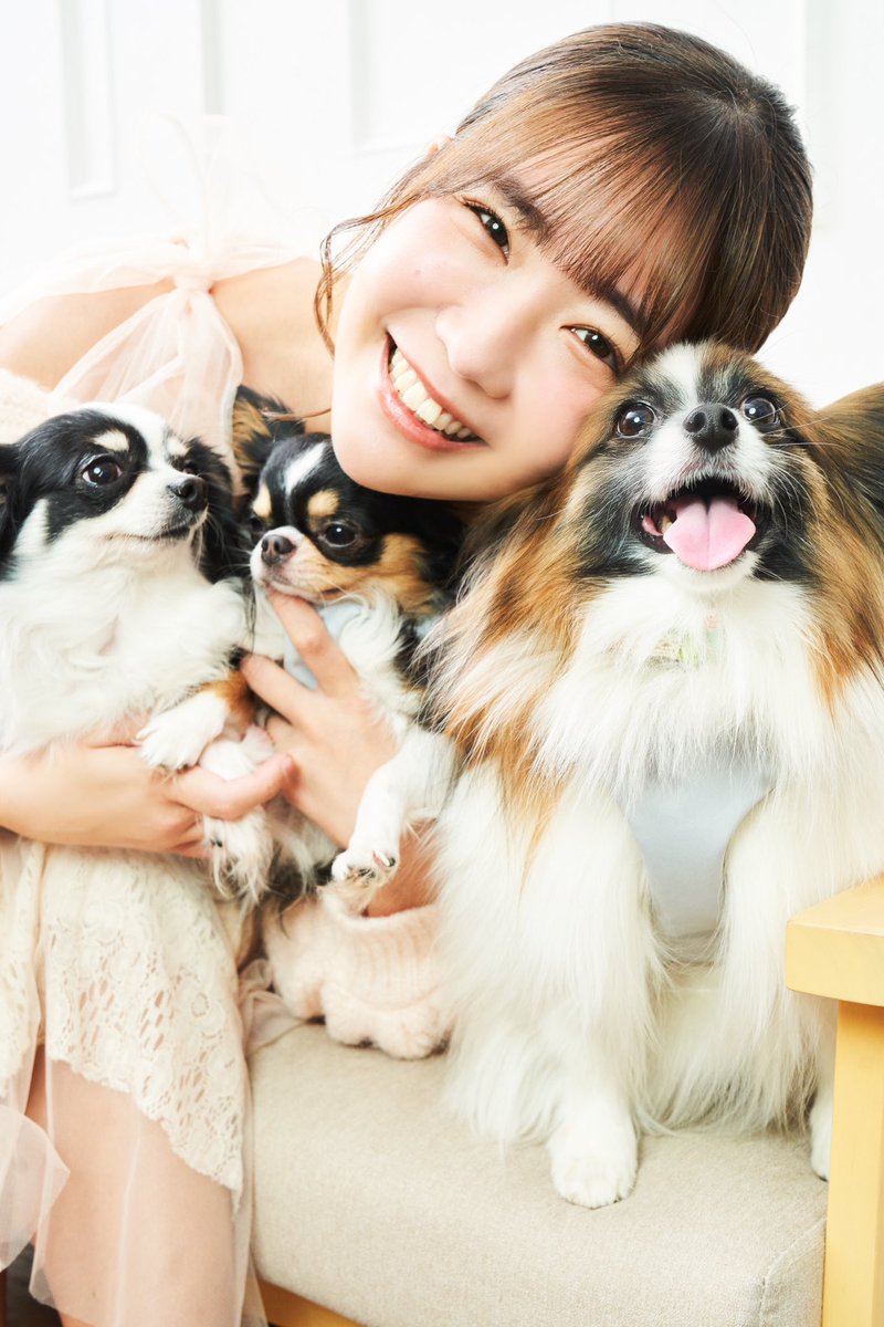 [おしらせ🐶]

2/15発売の「月刊わんこ」さんに掲載されています💕

うちの子たちが「モデル犬みたい！」など褒められてるのが凄く嬉しかったし、こうして一緒に掲載されるのもアイドルをしていてよかったと思いました🥰

ぜひ推しきすみワンコ教えて下さい！

左からシンバ、カイオン、レオン https://t.co/XdvsG3vKB7
