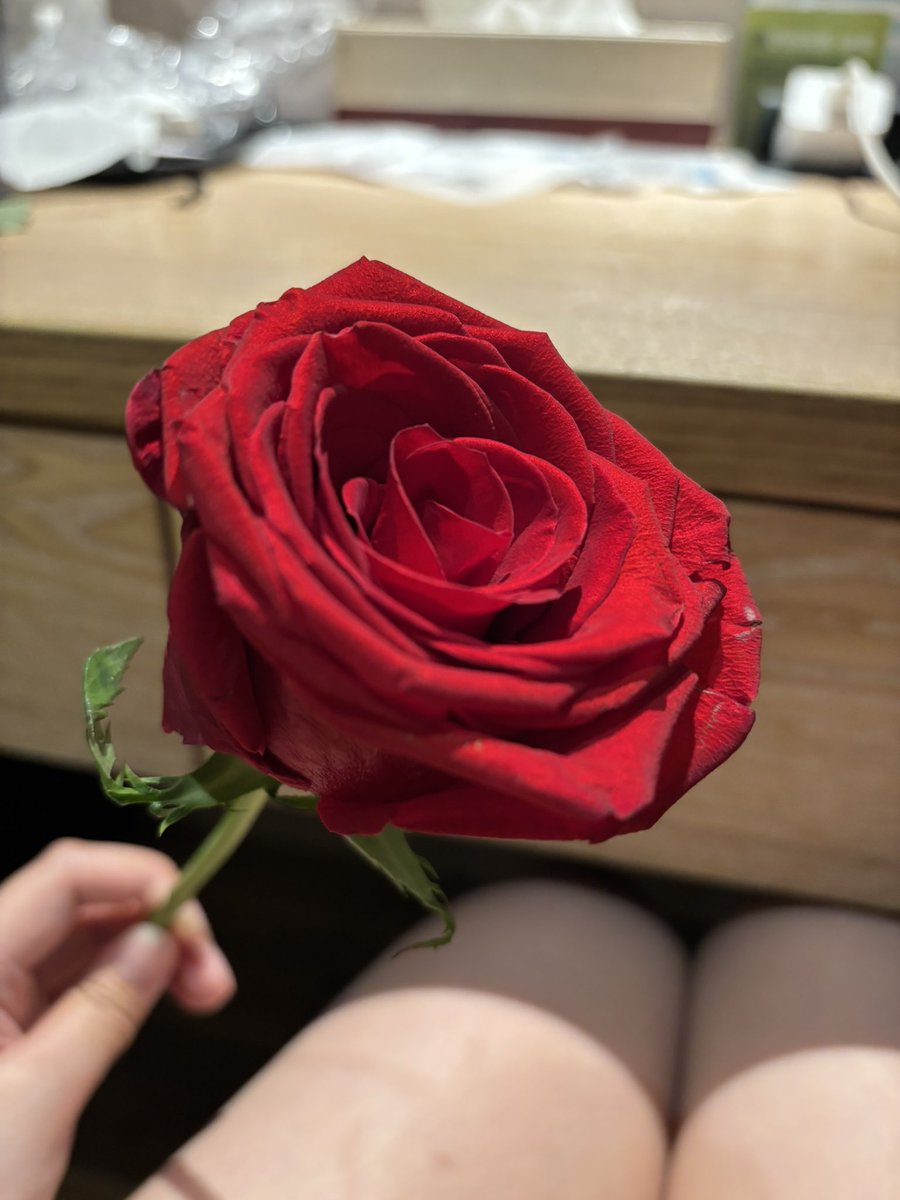 情人節的儀式感
一定要有一朵漂亮的花花

但我不是收花的那個人 https://t.co/GA3sn4uEXa