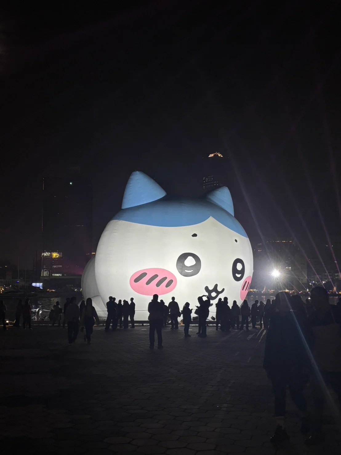 今天去愛河看大寶寶 https://t.co/OacLRmYUYr