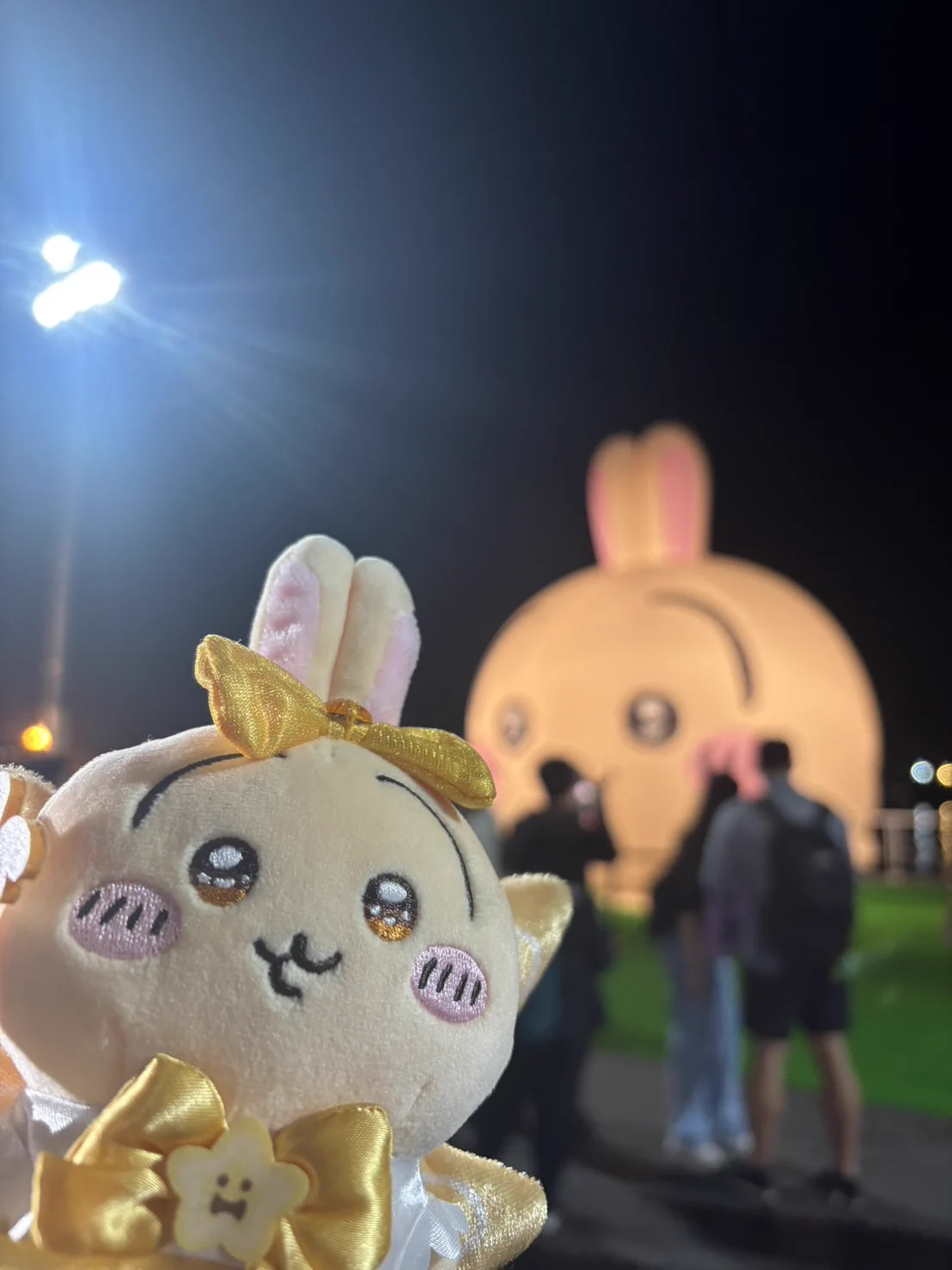 今天去愛河看大寶寶 https://t.co/OacLRmYUYr