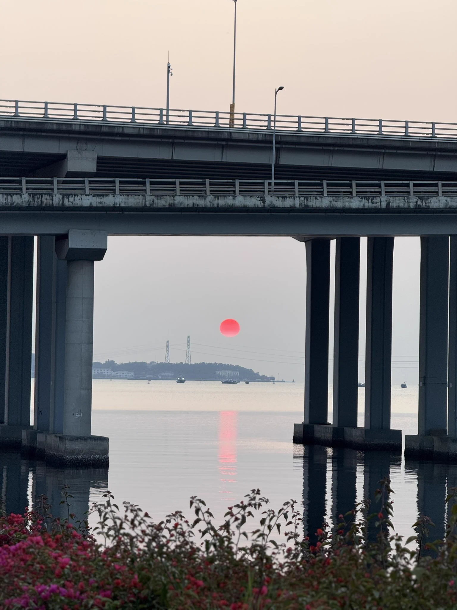 近几日风景 #深圳 #前海石公园 #深圳康莱德 未曾谋面的小伙子好心好意的给我定了两晚深圳康莱德，当然可能是我酸言酸语的刺激。说请我吃个饭，结果饭也没吃成，自己在酒店呆了两天没人陪！没意思！不要动不动就问我啥时候来哪哪哪了，来不来跟你有啥关系，机票又不贵，可你的嘴却很贱❗️ https://t.co/ChBrXjf8lh