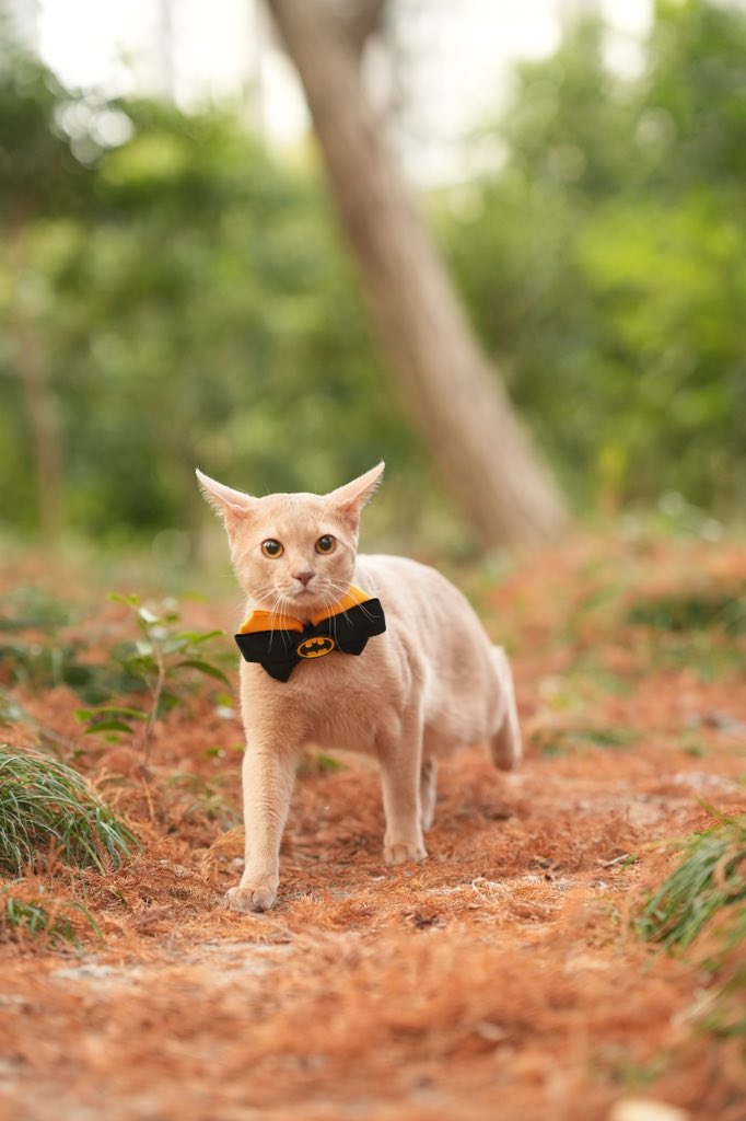 想要选冰箱贴，哪张好看呀！ https://t.co/SzMPEWhUwz