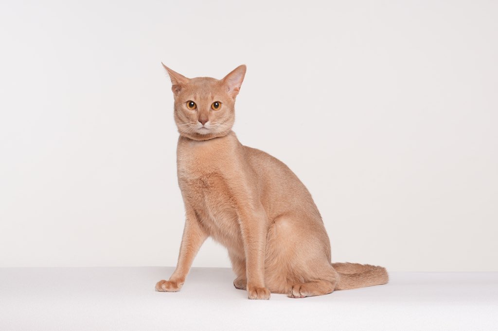 想要选冰箱贴，哪张好看呀！ https://t.co/SzMPEWhUwz