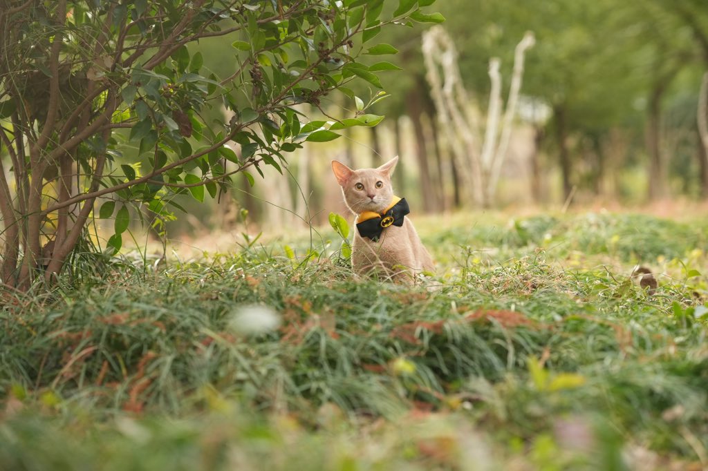 想要选冰箱贴，哪张好看呀！ https://t.co/SzMPEWhUwz