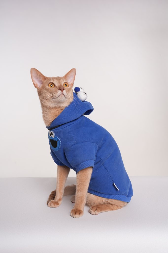 想要选冰箱贴，哪张好看呀！ https://t.co/SzMPEWhUwz