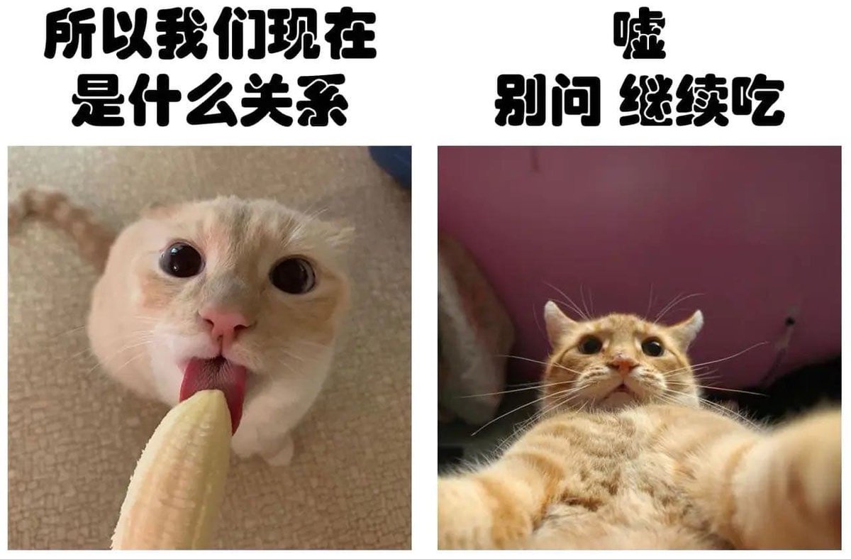 腦袋裡突然想到這個
根本我
可撥 https://t.co/0AShBZdbrk