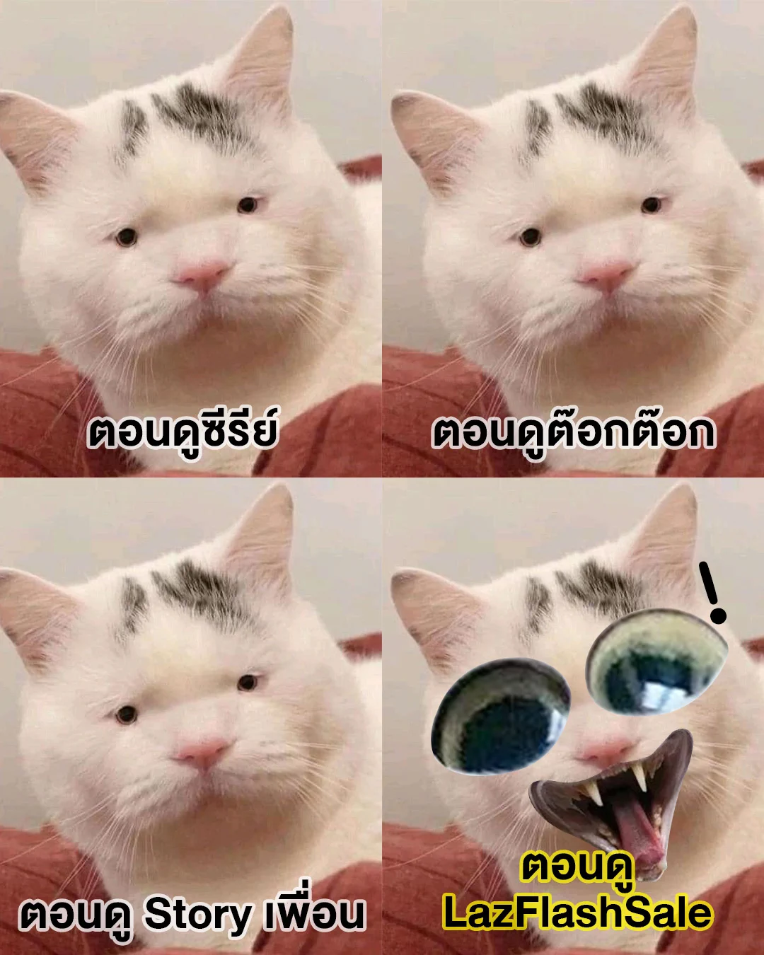 😻 น้องเหมียวถึงกับต้องอึ้งตาแตก เพราะ LazFlash ของเรานั้นลดแหลกกว่าใคร!⚡ จัดเต็มกับดีลพิเศษชวนอึ้งได้ทุกวัน ทุกเวลา ลดสูงสุดกว่า 90%* กดเข้ามาช้อปกันเลย👉 https://t.co/vjfgvdx43j*เงื่อนไขเป็นไปตามที่บริษัทฯ กำหนด อ่านรายละเอียดได้ที่ ลาซาด้าแอปพลิเคชัน หรือ https://t.co/P63ihfbwNc#LazadaTH #LazFlash