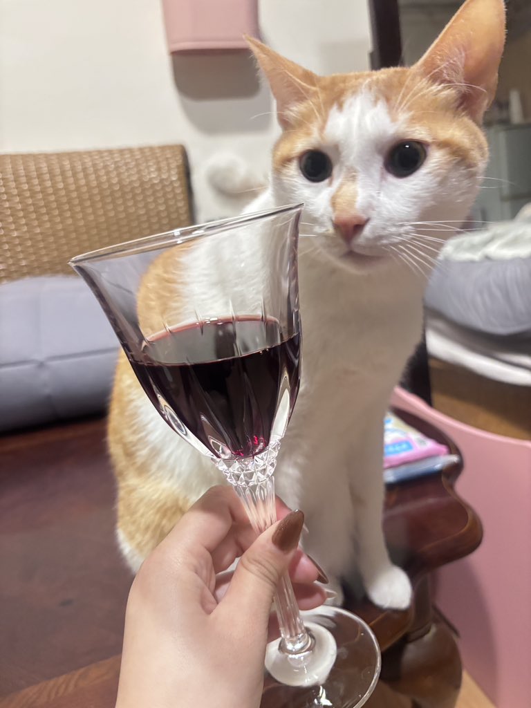 🍻 https://t.co/hImPkxtSSw