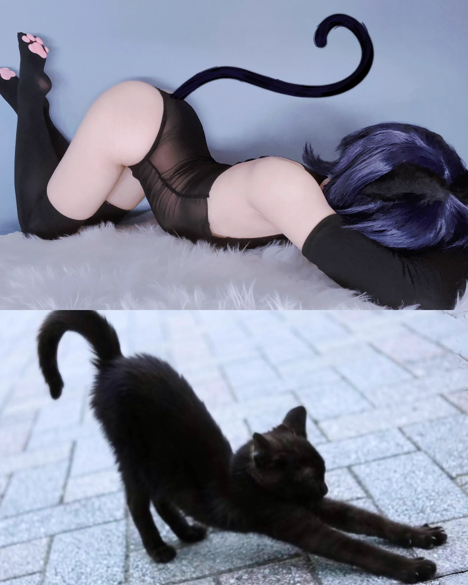 biiiiig stretch &gt;.&lt; !!#scaramouchecosplay #catboy https://t.co/HGwcHOewCz