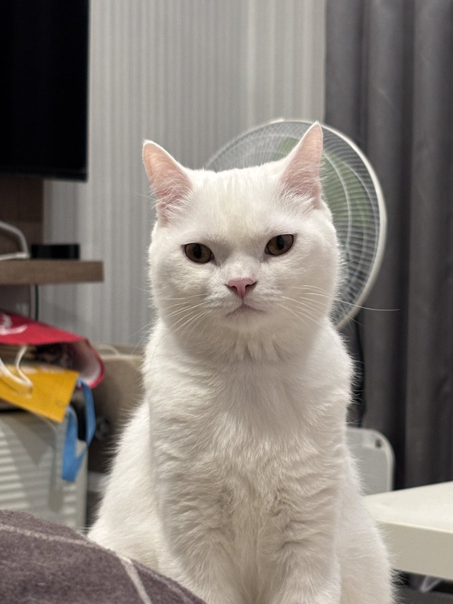 長得越來越像男生 https://t.co/kaSIb57ti1