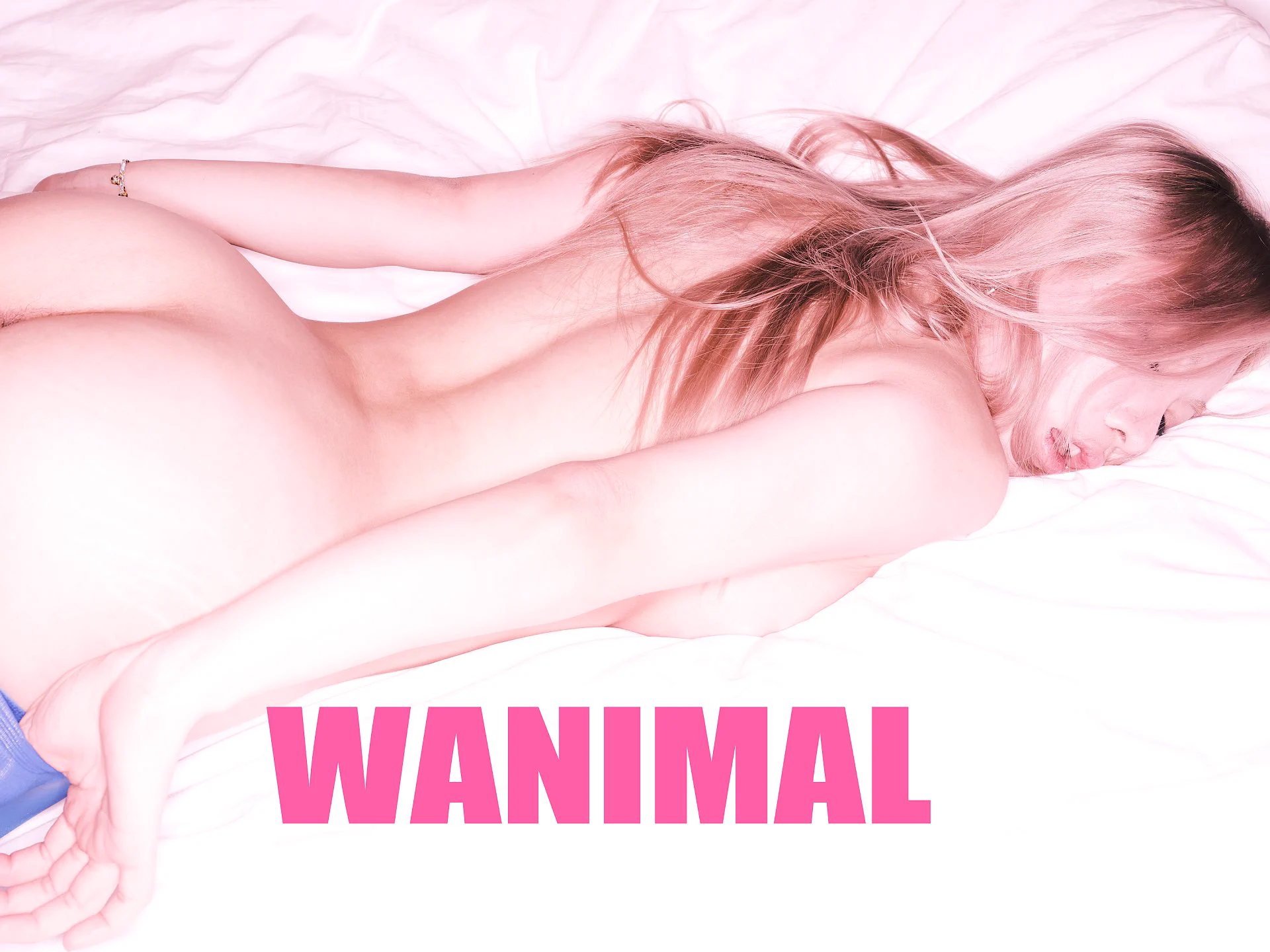 WANIMAL NEW COMER 2007@Eleven_ZKL https://t.co/tPapw1vfsk