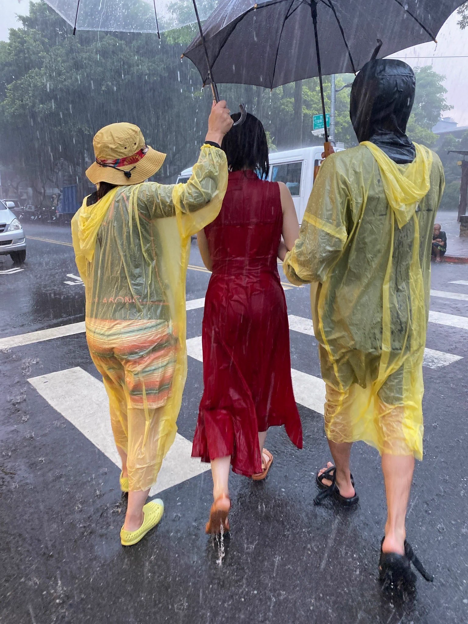 あの表紙の！！！雨の中のカット！！！スコール直撃でずぶ濡れになりました😶‍🌫️❤️衣装さんもメイクさんもビチョビチョ☔️右に小さく写る現地のおっちゃんは、大雨の中傘もささずにお酒飲んでました😂🤣お酒＞大雨 ⬇️つばさ舞4th写真集『翼』 絶賛発売中！https://t.co/GODdx8mqGD https://t.co/Ge8rxGjNzt