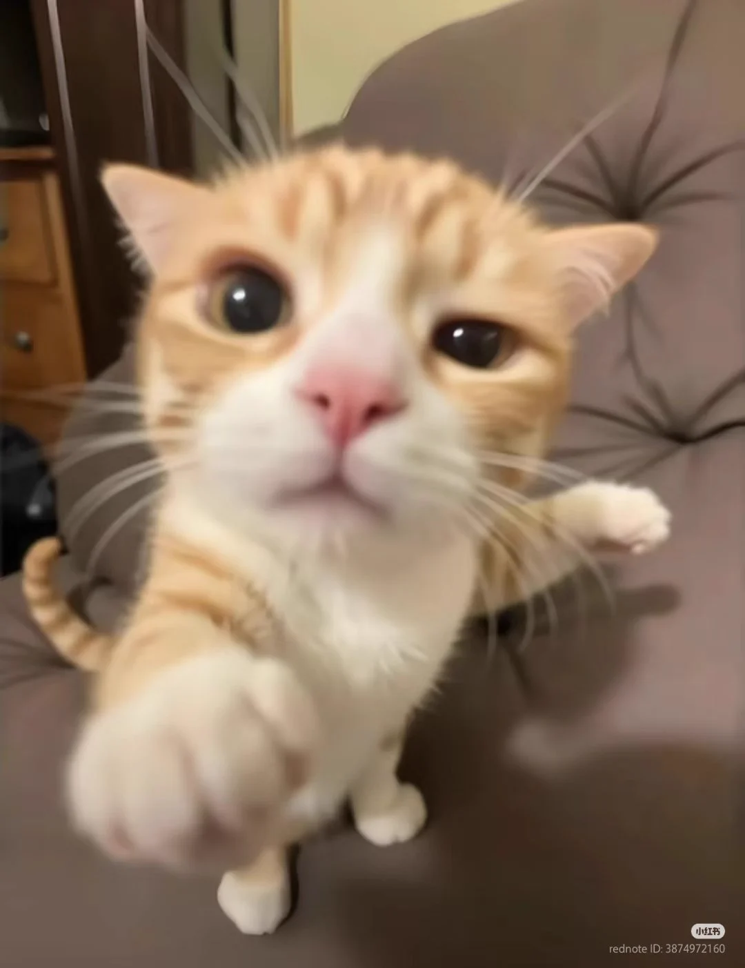 👊👊👊 https://t.co/D9JeAoMFVV