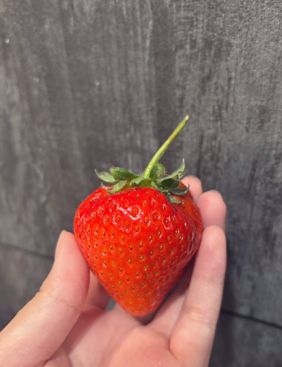 今日快樂碎片
超大盒手掌大草莓
還有和牛涮🥰 https://t.co/weXhHK5PTo