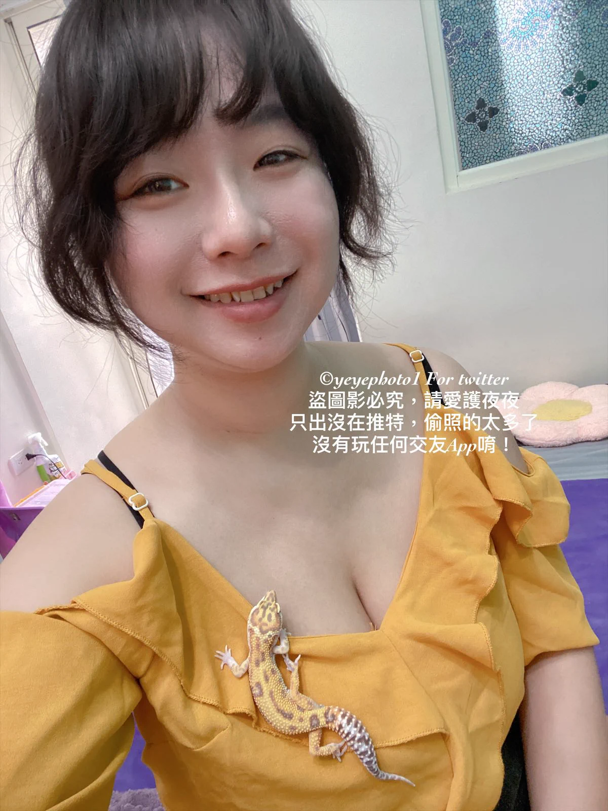 我可愛的寵物真的蠻像一個擺件的客人來了說小守超可愛😍#星期一的悠閒 https://t.co/WE0iILShWB