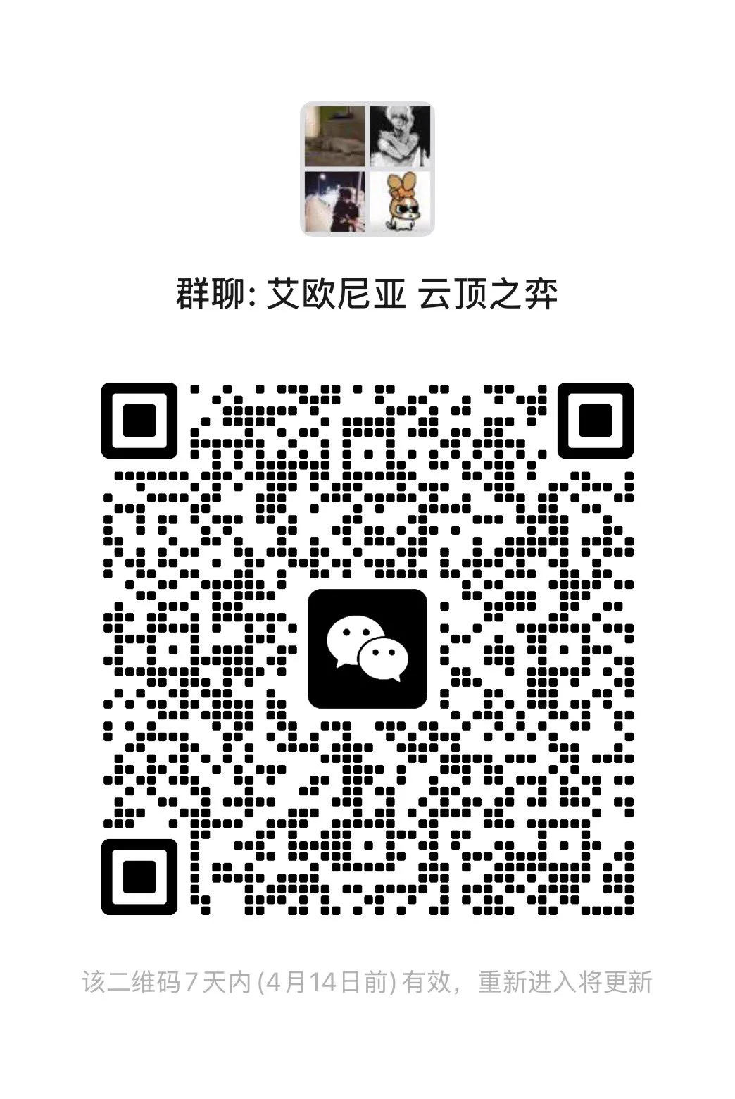 自己拉了个云顶群 来陪我下棋 发牛子的炸屎的别来了求求了 https://t.co/TuC8WPYDEF