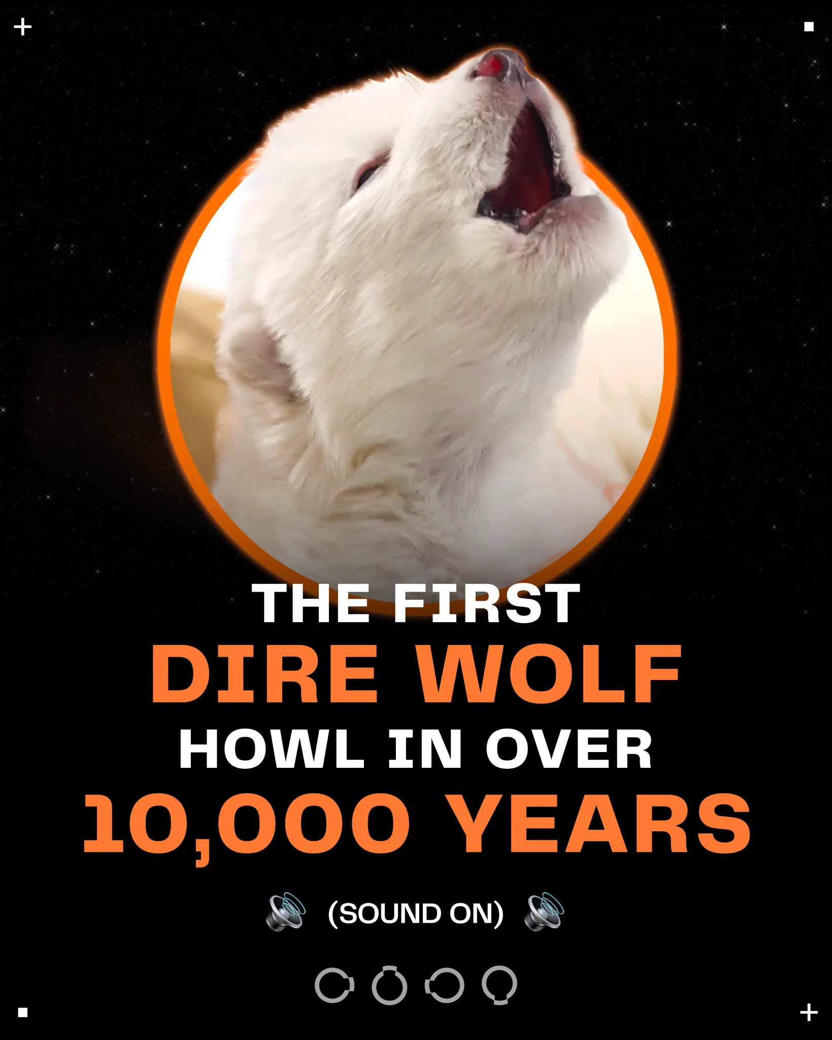 SOUND ON. You’re hearing the first howl of a dire wolf in over 10,000 years. Meet Romulus and Remus—the world’s first de-extinct animals, born on October 1, 2024.The dire wolf has been extinct for over 10,000 years. These two wolves were brought back from extinction using genetic edits derived from a complete dire wolf genome, meticulously reconstructed by Colossal from ancient DNA found in fossils dating back 11,500 and 72,000 years. This moment marks not only a milestone for us as a company but also a leap forward for science, conservation, and humanity. From the beginning, our goal has been clear: “To revolutionize history and be the first company to use CRISPR technology successfully in the de-extinction of previously lost species.” By achieving this, we continue to push forward our broader mission on—accepting humanity’s duty to restore Earth to a healthier state.But this isn’t just our moment—it’s one for science, our planet, and humankind. All of which we love and are passionate about. Now, close your eyes and listen to that howl once more. Think about what this means for all of us.