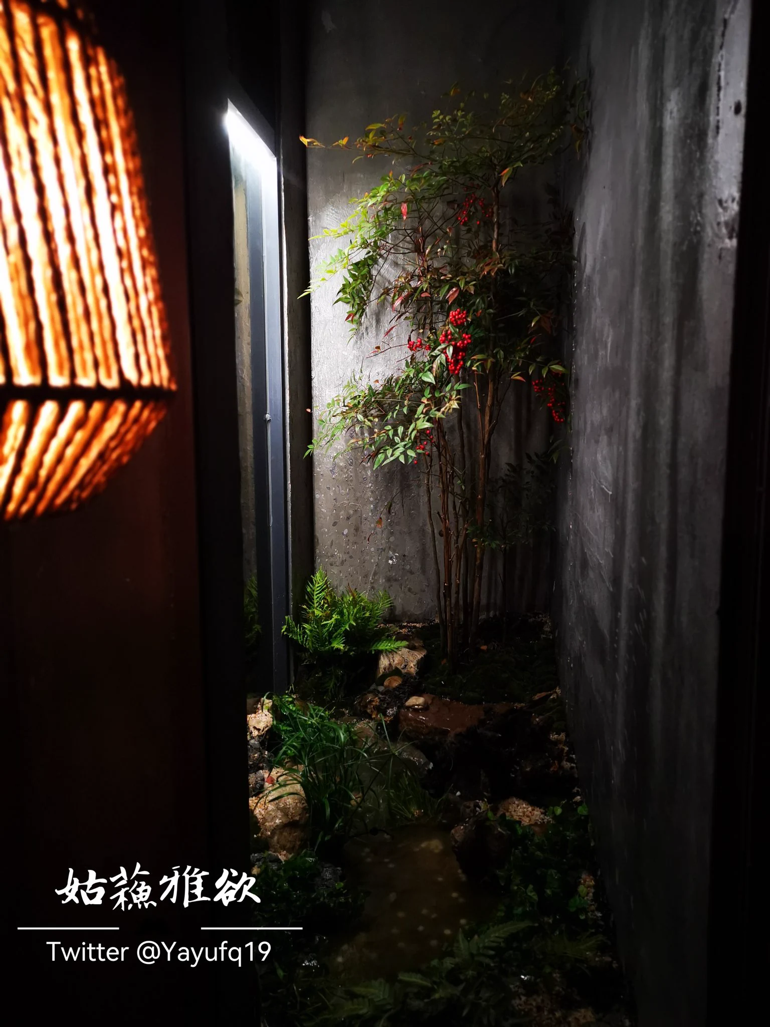 闹中取静… https://t.co/PM5ZS57gdt