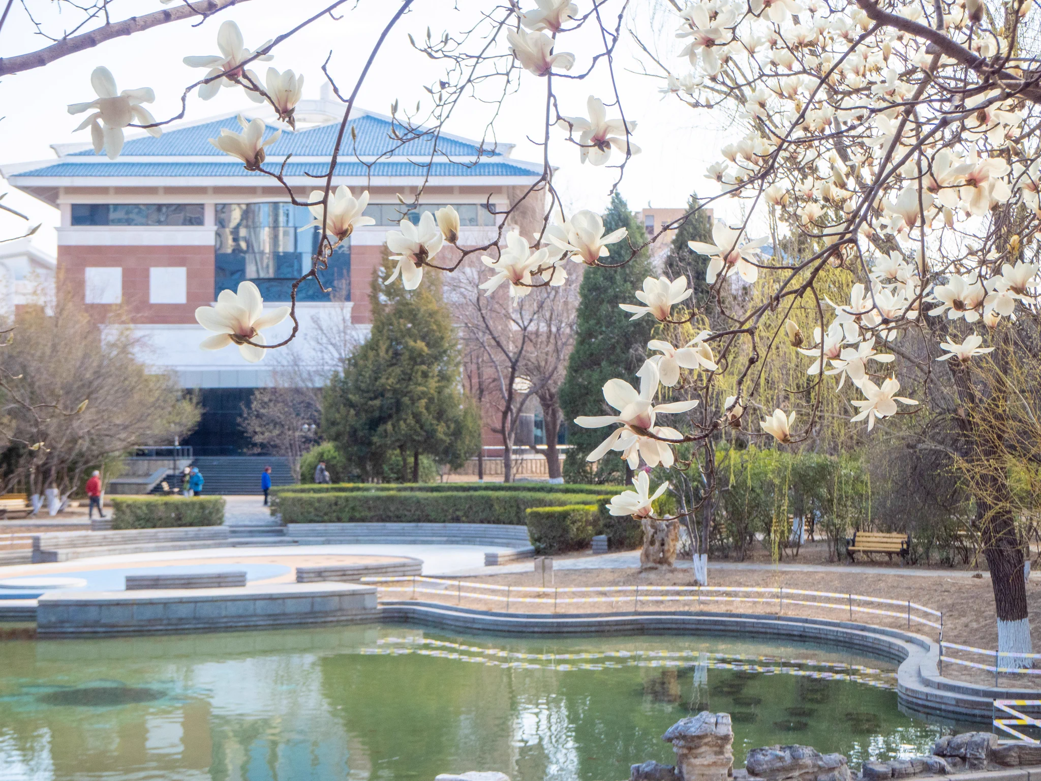 The National #Museum of Modern Chinese Literature is a key hub for modern Chinese literature, with a rich collection of manuscripts, books, and relics. In #spring, the #magnolias outside add a stunning touch to the experience. #BeijingMuseums #VisitBeijing https://t.co/MBj3S0qawZ