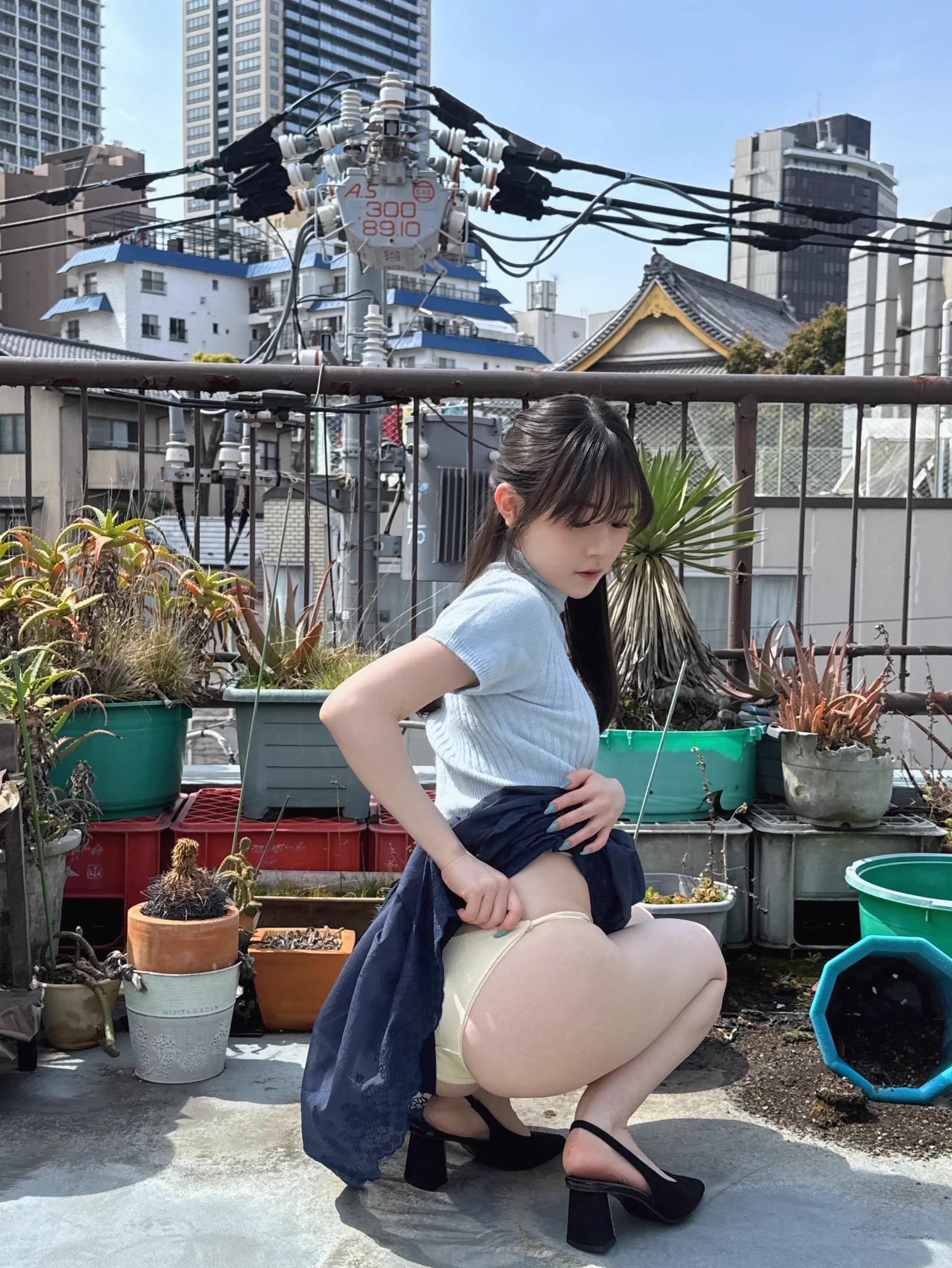 屋上ではこんなことが行われています https://t.co/uA6y7xwydT