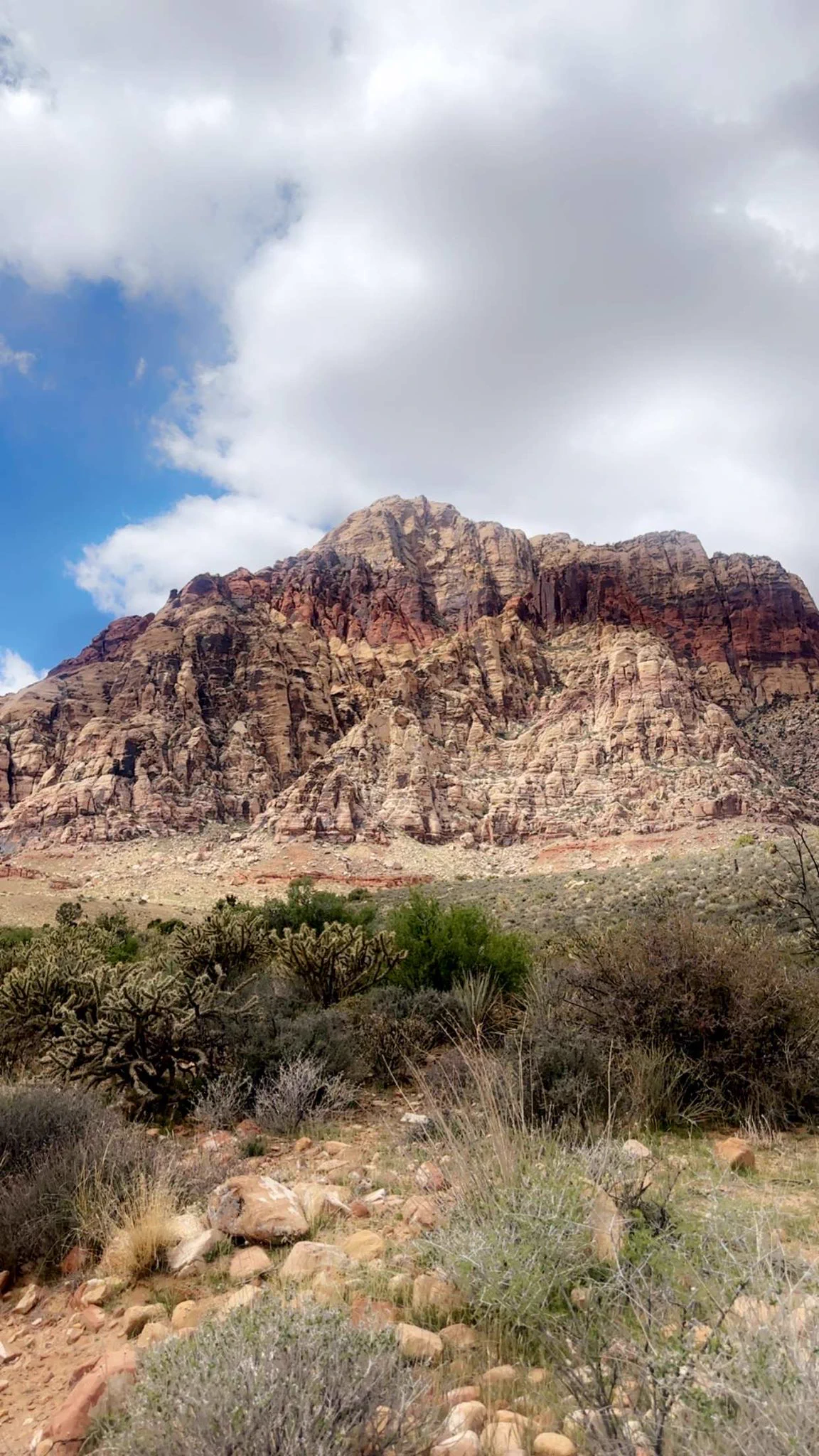 had such a lovely hike yesterday 🥰 https://t.co/6i8WRuIoXE