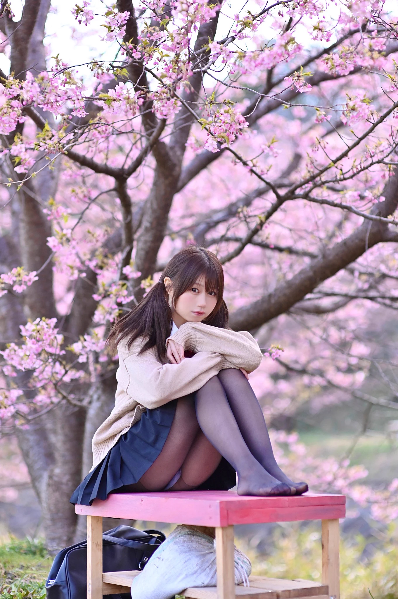 桜満開してた🌸 https://t.co/ojlCAwsWOx