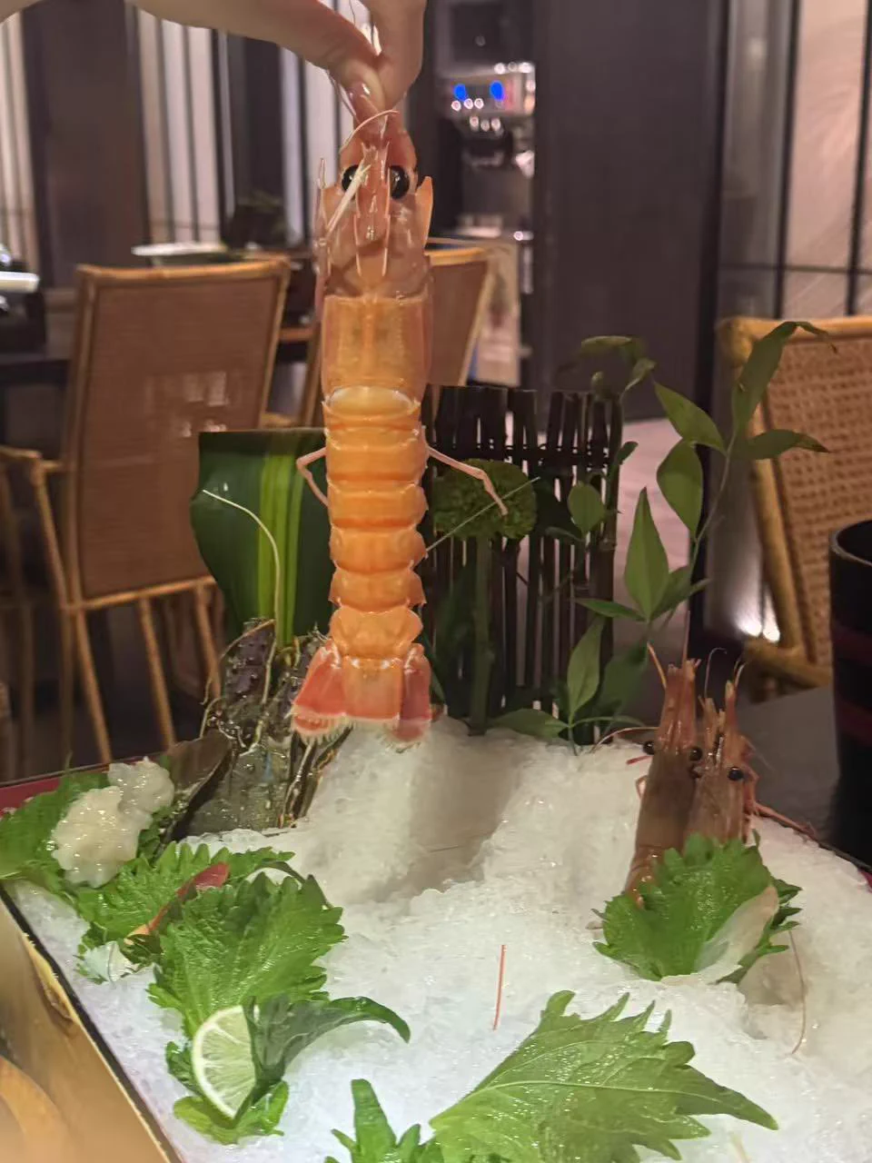 美女都是又菜又爱吃的呀…..俺也不知道为什么高档餐厅拍出来的照片像在大排档捏….(此处就省略美照噜）小鸟胃的宝宝还是不要吃自助啦 俺的限量鳌虾还没吃完就回去啦 哭哭 https://t.co/Me4VUXL7q9