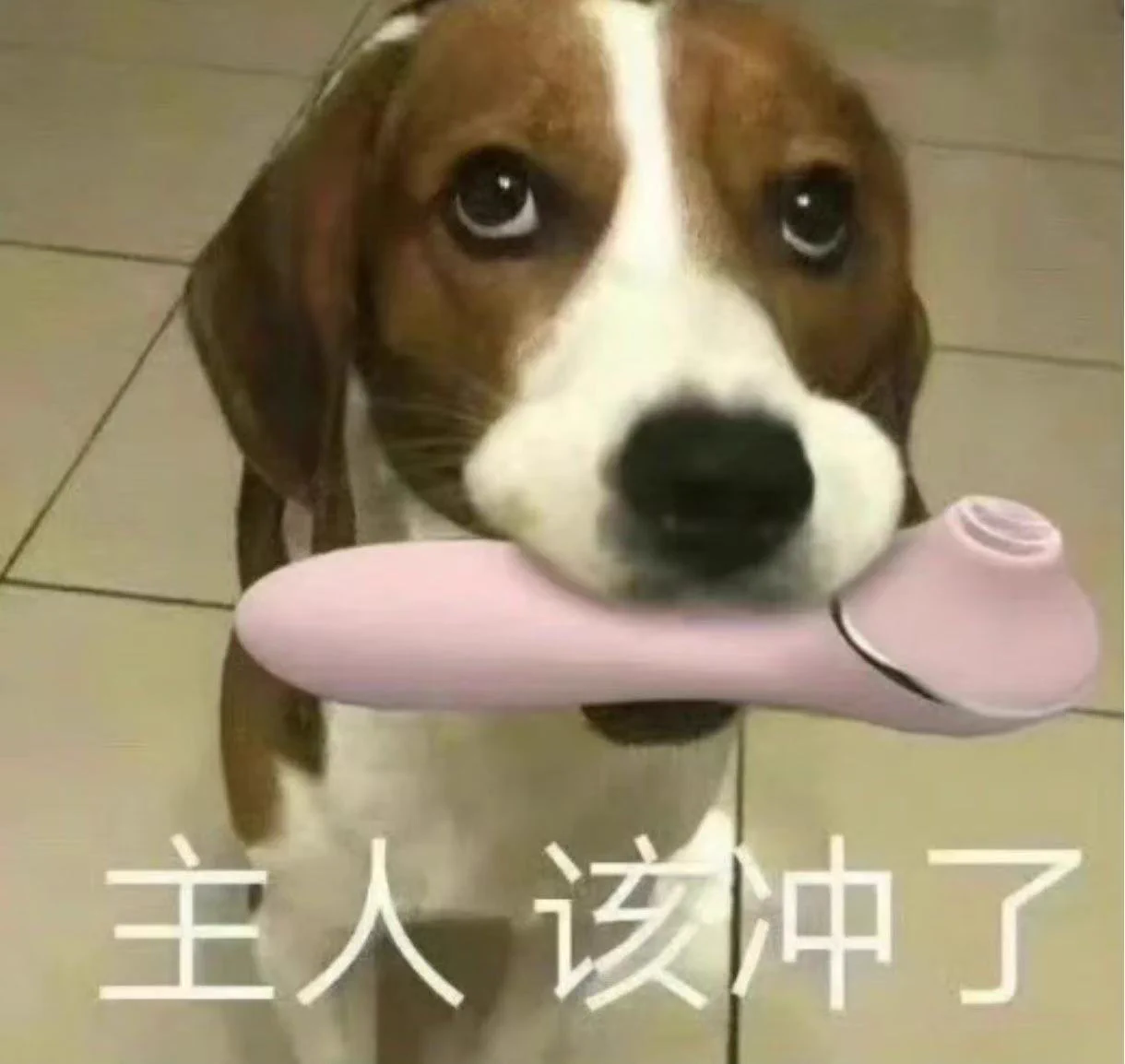 主人该冲了 https://t.co/fMUn88RKSo