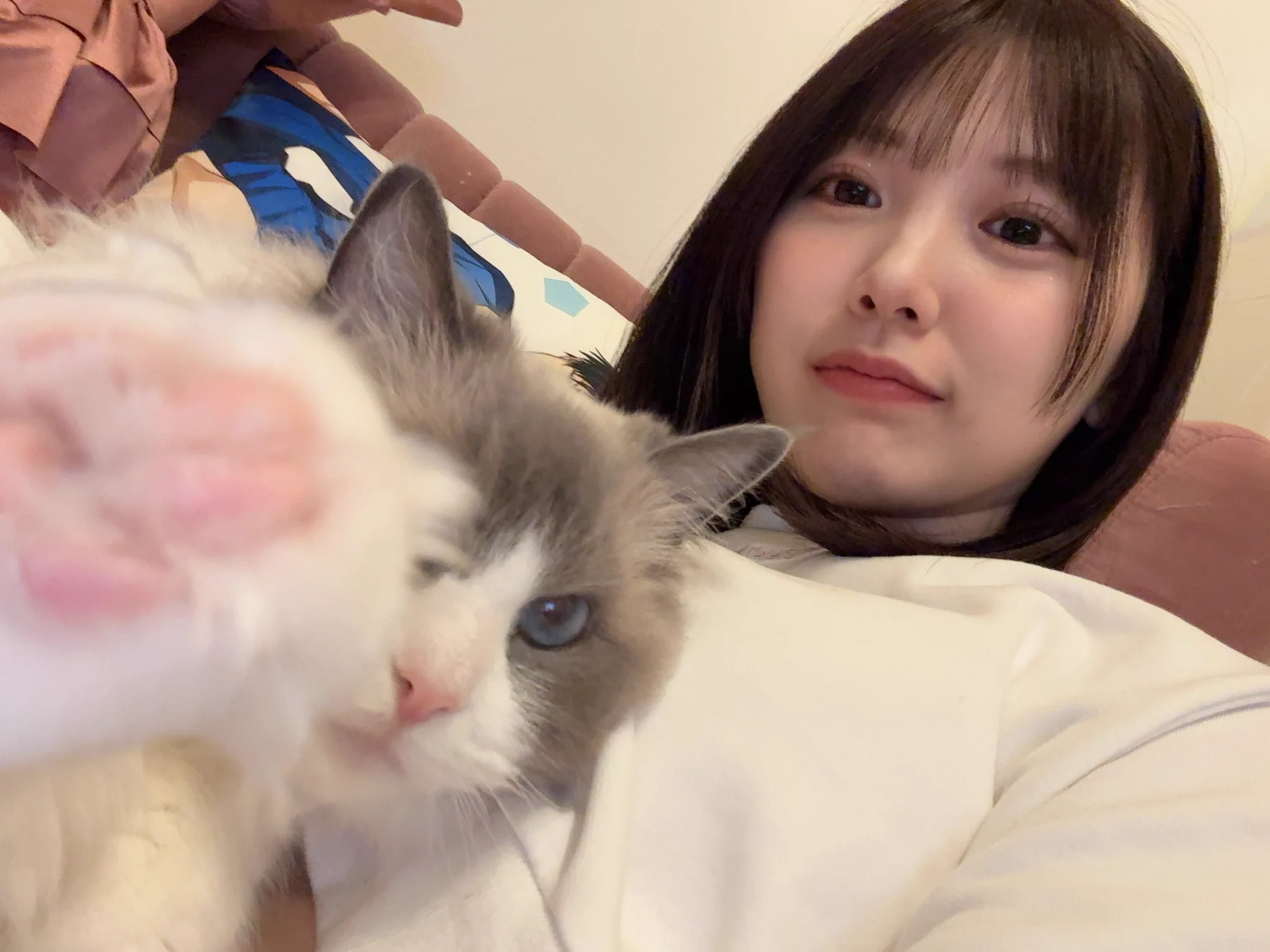 かわちいね🐾 https://t.co/Pnl5roFxyz