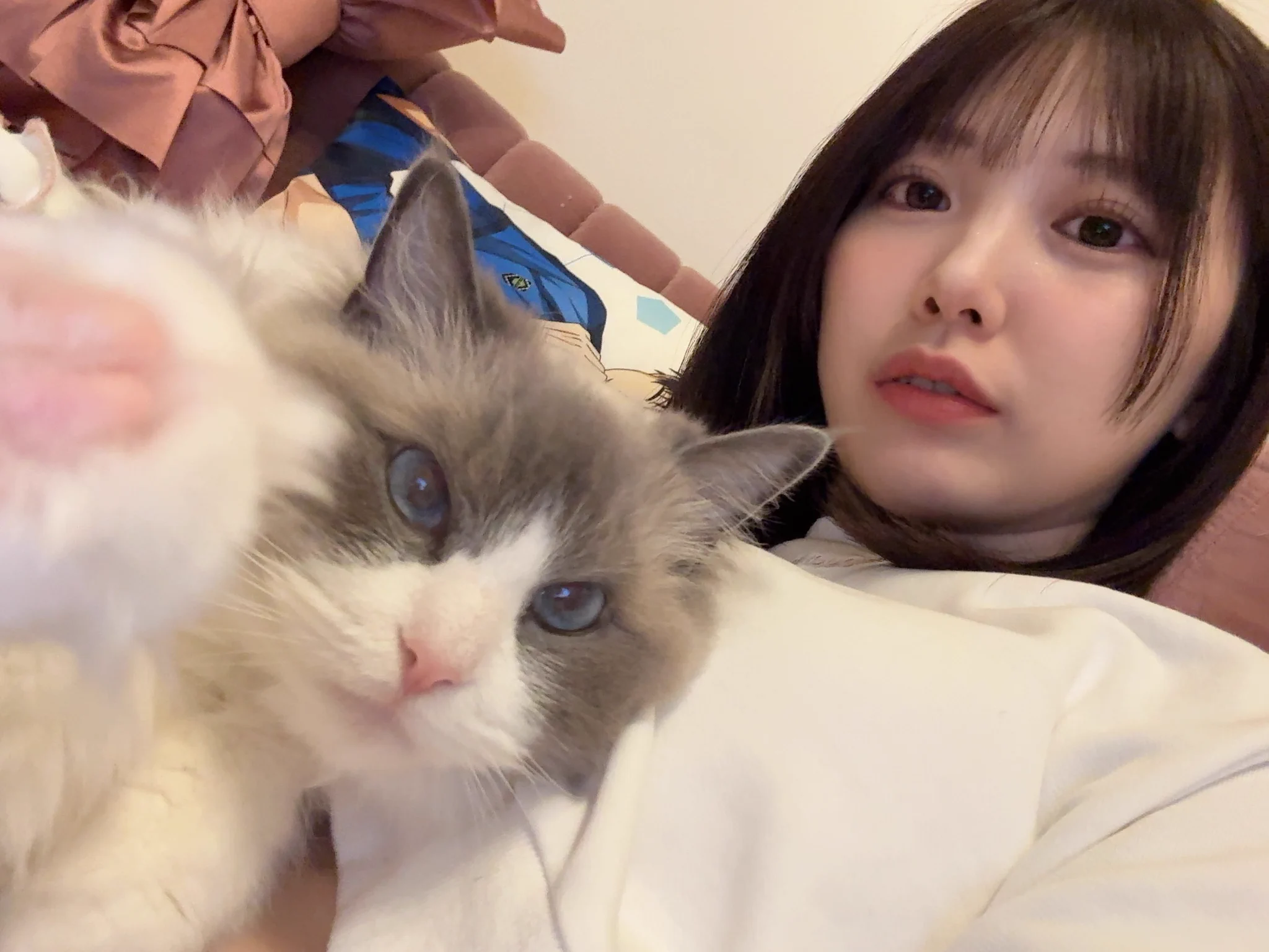 かわちいね🐾 https://t.co/Pnl5roFxyz