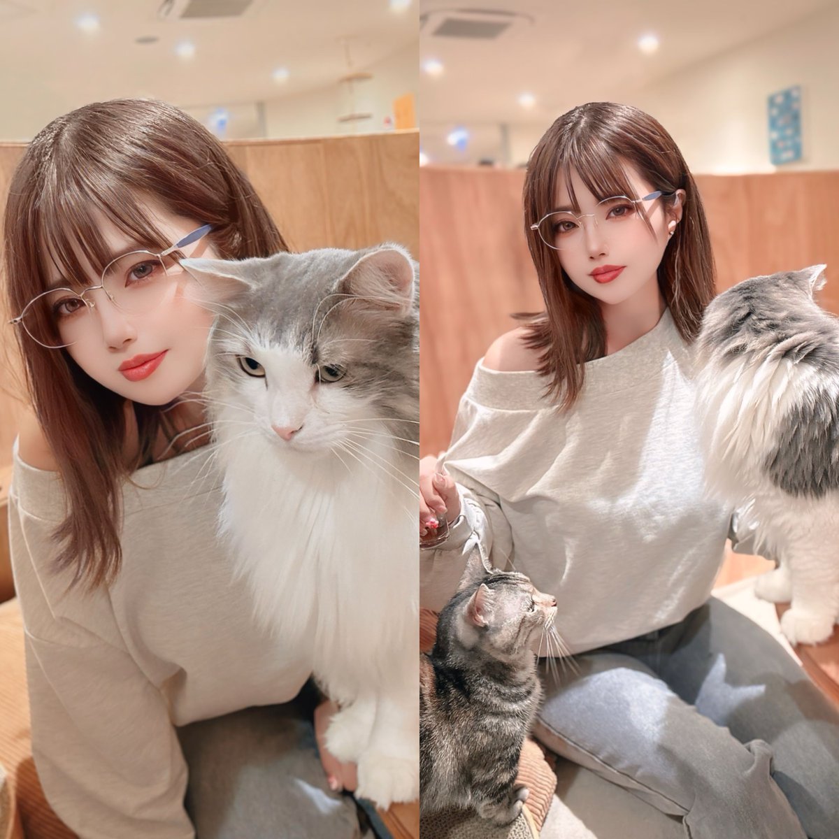 定期的に猫吸いたくなるよね https://t.co/b6QwF5u7DY