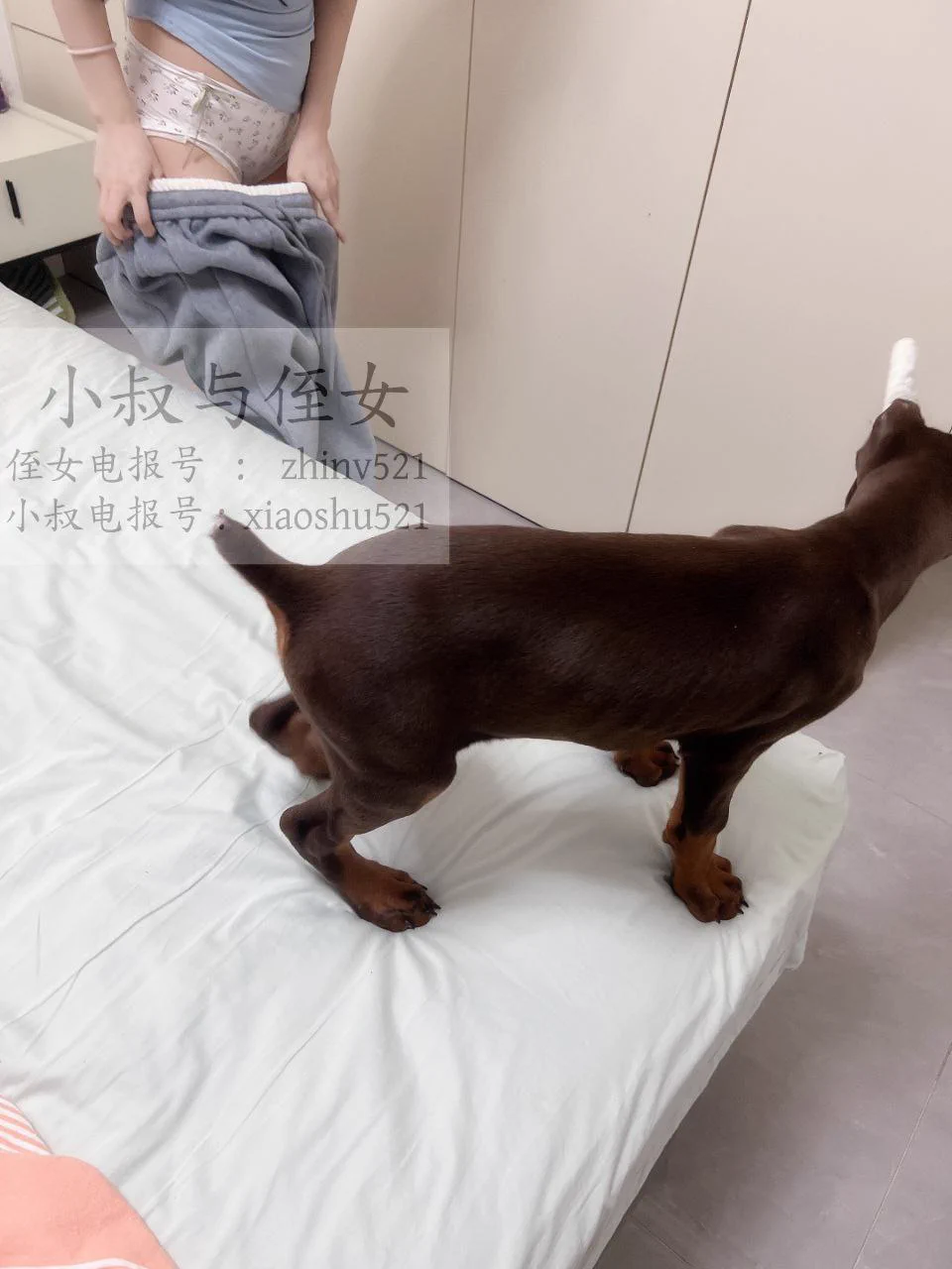 一场酣畅淋漓的大战，以侄女投降认输结束，狗子完胜，X 上不能发，进我置顶电报群观看…小叔推特号 : @rk7vcd https://t.co/hfYSofHbci