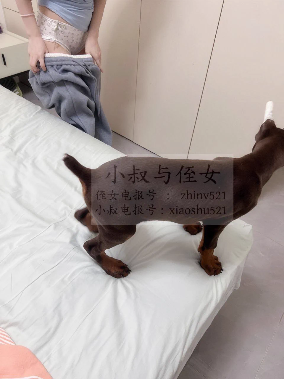 温馨提醒:被狗鸡巴🔒住的话，不要着急，一般20分钟左右就会解，如果超过一个小时，立刻安排自行就医、千万不要讳疾忌医… https://t.co/YDqOF0ev1W