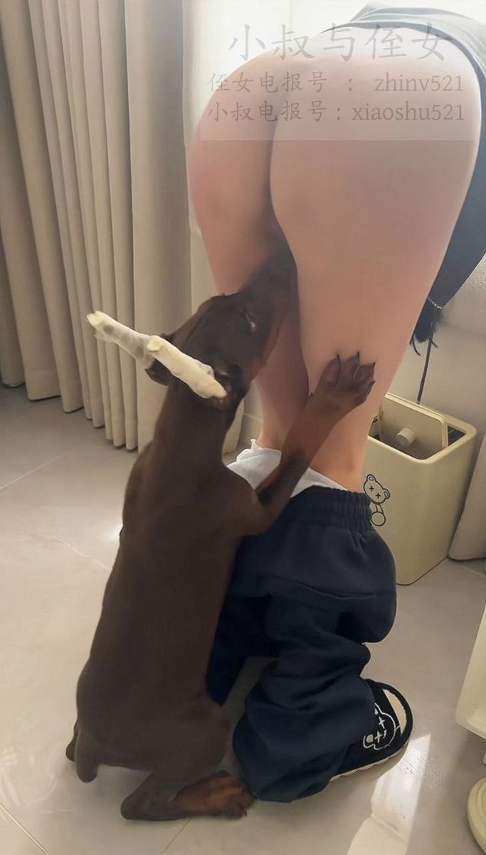 这狗东西看逼的眼神也是绝了，这哪里是像只狗，这不活生生一个老色胚… https://t.co/2Npc3LF7Vb