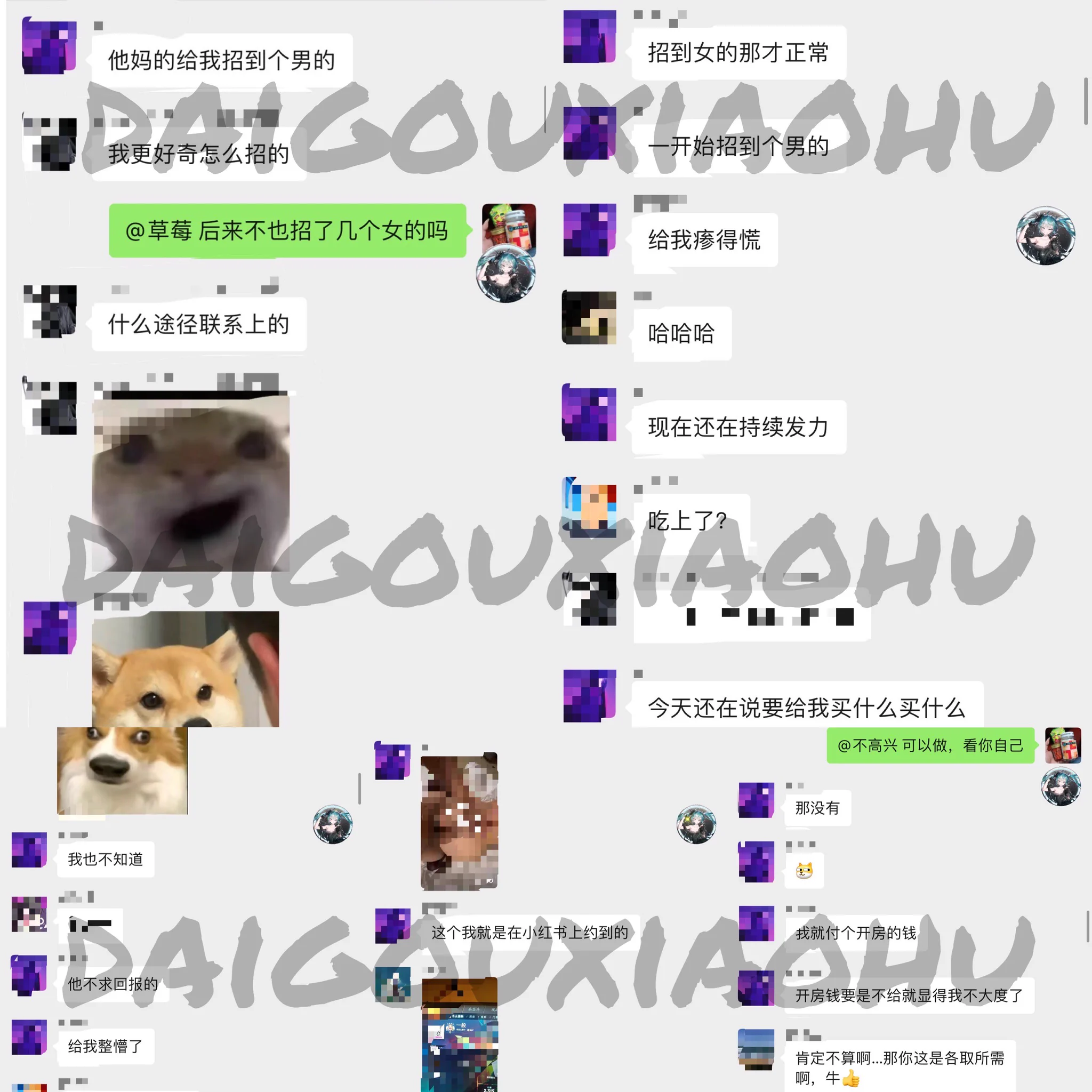 今天来一波副业跟主业的反馈，请了招炮友的牌后不但招了炮友，炮友还不求回报的给他花钱。产品更是一如既往的收到好评反馈，一个个都说用了黑瓶这些的确大了，硬了，强了，猛了……也正因为做的久了，多少会有人眼红诋毁造谣我。只能说做好自己，欢迎各位老板加v咨询以及下单 https://t.co/3UJAPtcvwu