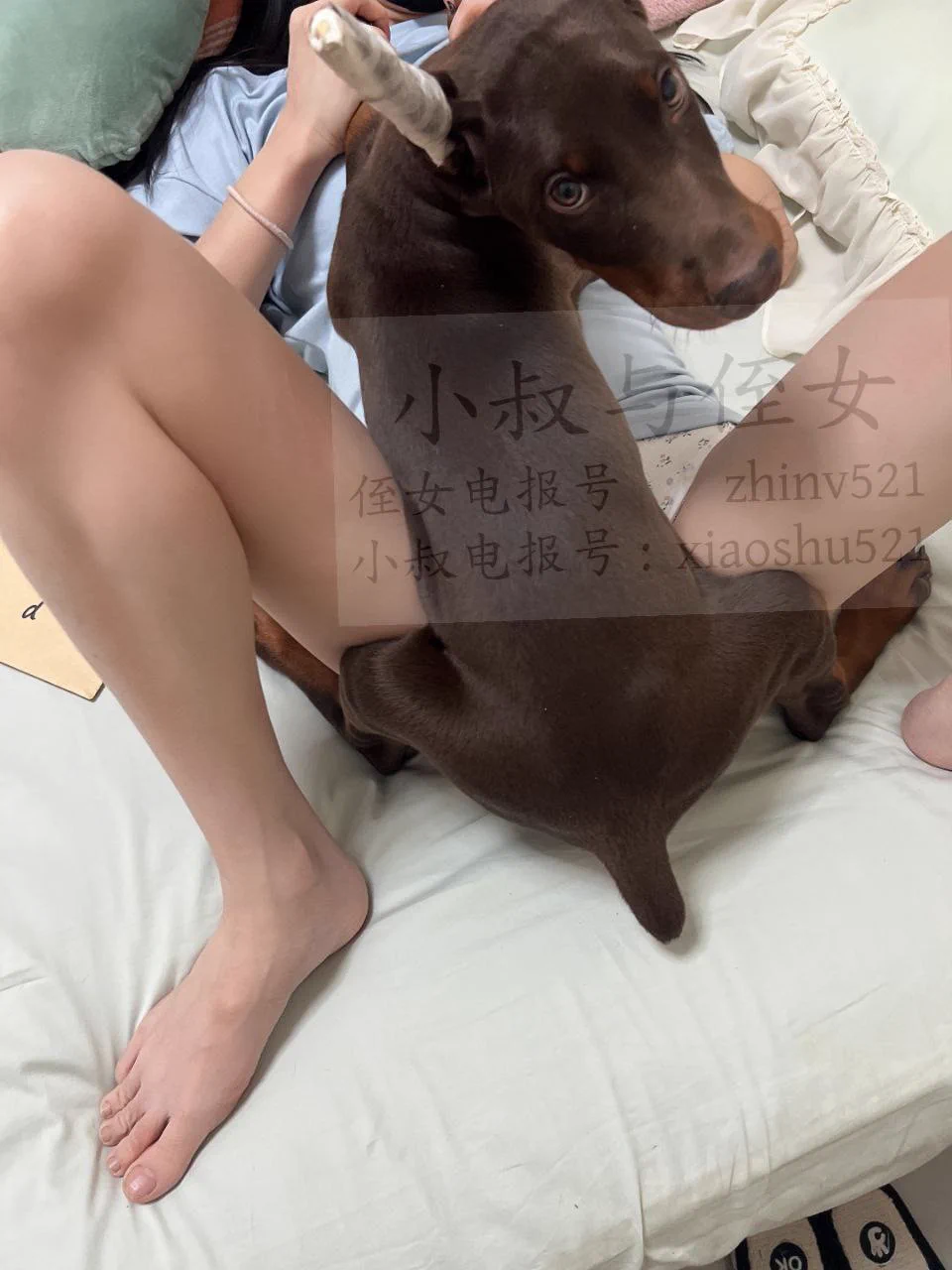温馨提醒:被狗鸡巴🔒住的话，不要着急，一般20分钟左右就会解，如果超过一个小时，立刻安排自行就医、千万不要讳疾忌医… https://t.co/z2gVMdTWAC