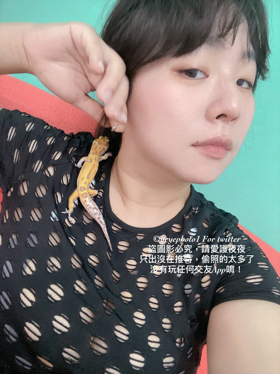 我可愛的胸針啊 https://t.co/bMmFJDcTYV