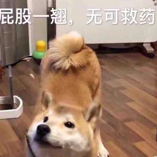 今年10月底之后就不好接线下了，伤筋动骨100天手术后我要恢复好几个月。总共快要20w的费用真不是一笔小钱，小时候砸锅卖铁能读书，长大了要卖逼才能手术。我的逼又嫩又好看，胸大皮肤好，性格不差乐观积极不当情绪为吸血虫。欢迎各大金主买我的好逼，祝我手术一臂之力！ https://t.co/AQ0u2NKZu1