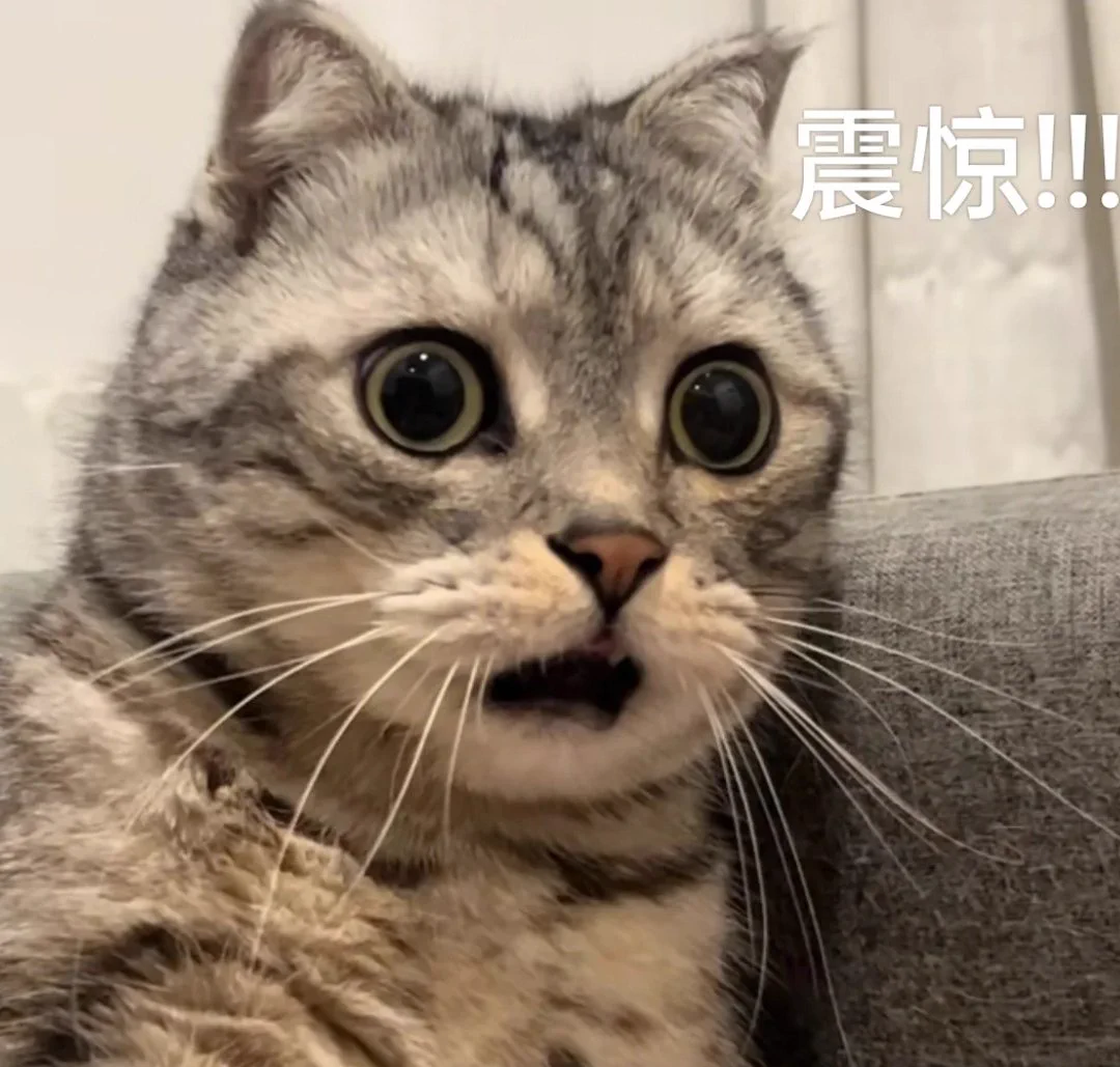 最近北京协和董小姐的瓜满天飞，这是啥瓜啊，有 人知道吗？？？ https://t.co/I9vXI9SADI