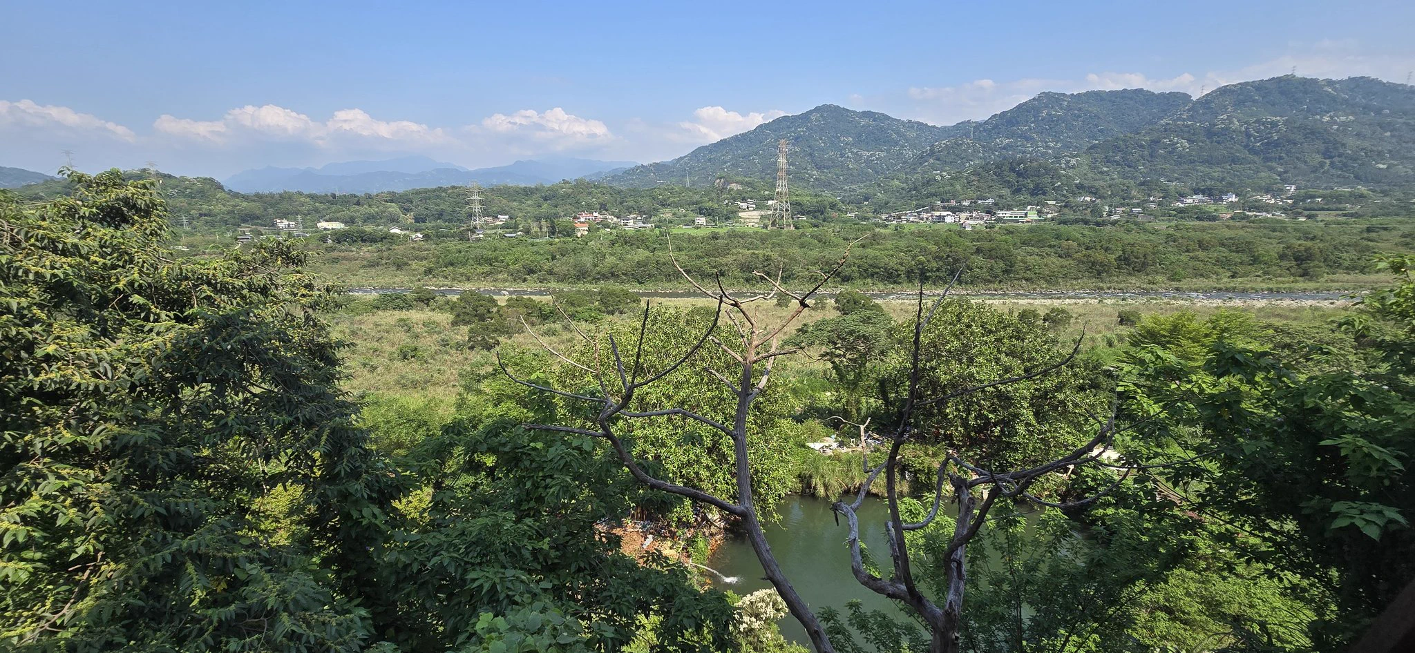 是因為在半山腰嗎這間學校小黑蚊也太多了吧！😑 https://t.co/iS6ZHzN0Iy