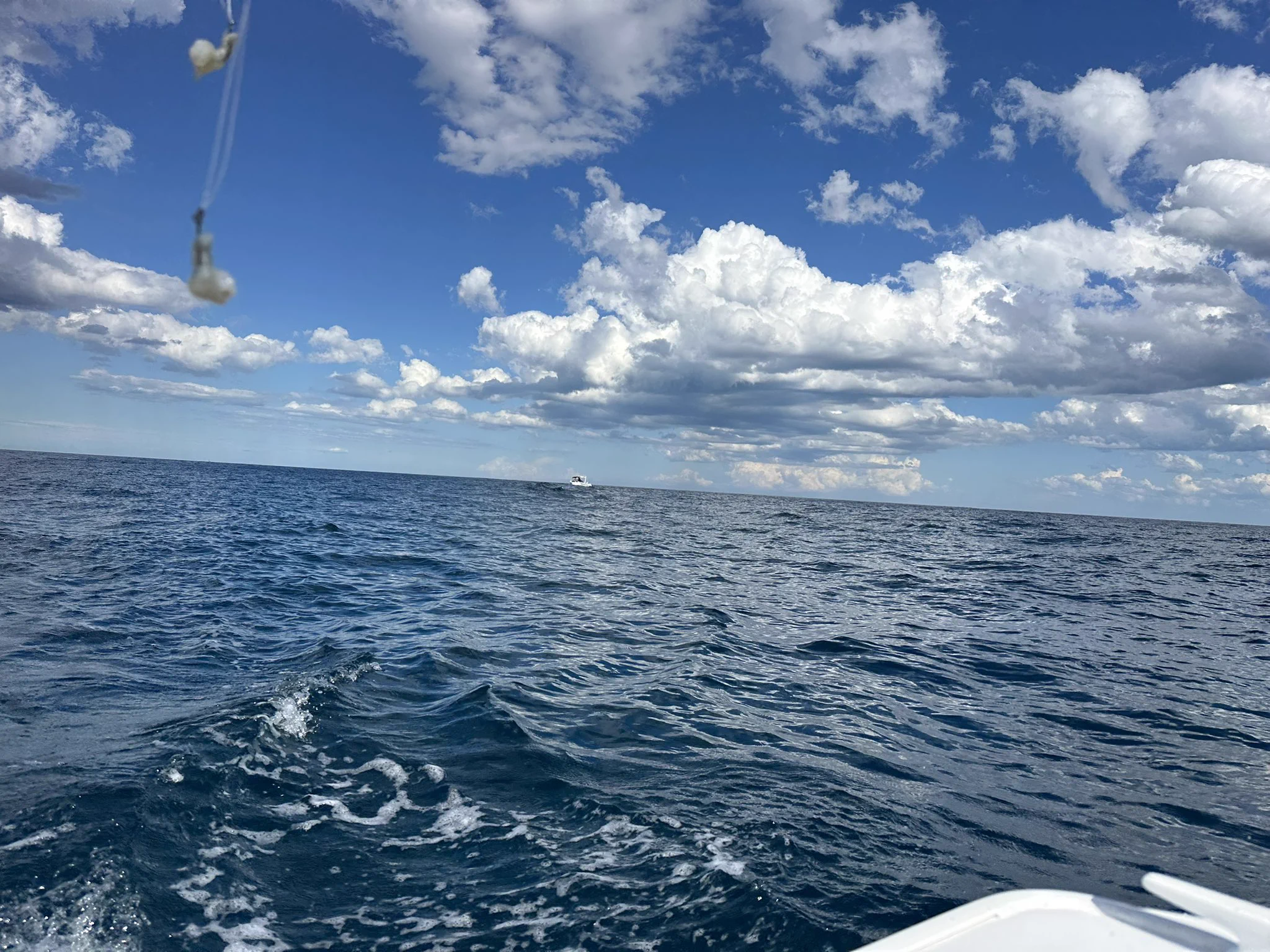海钓的一天 https://t.co/RGQQq7D31x
