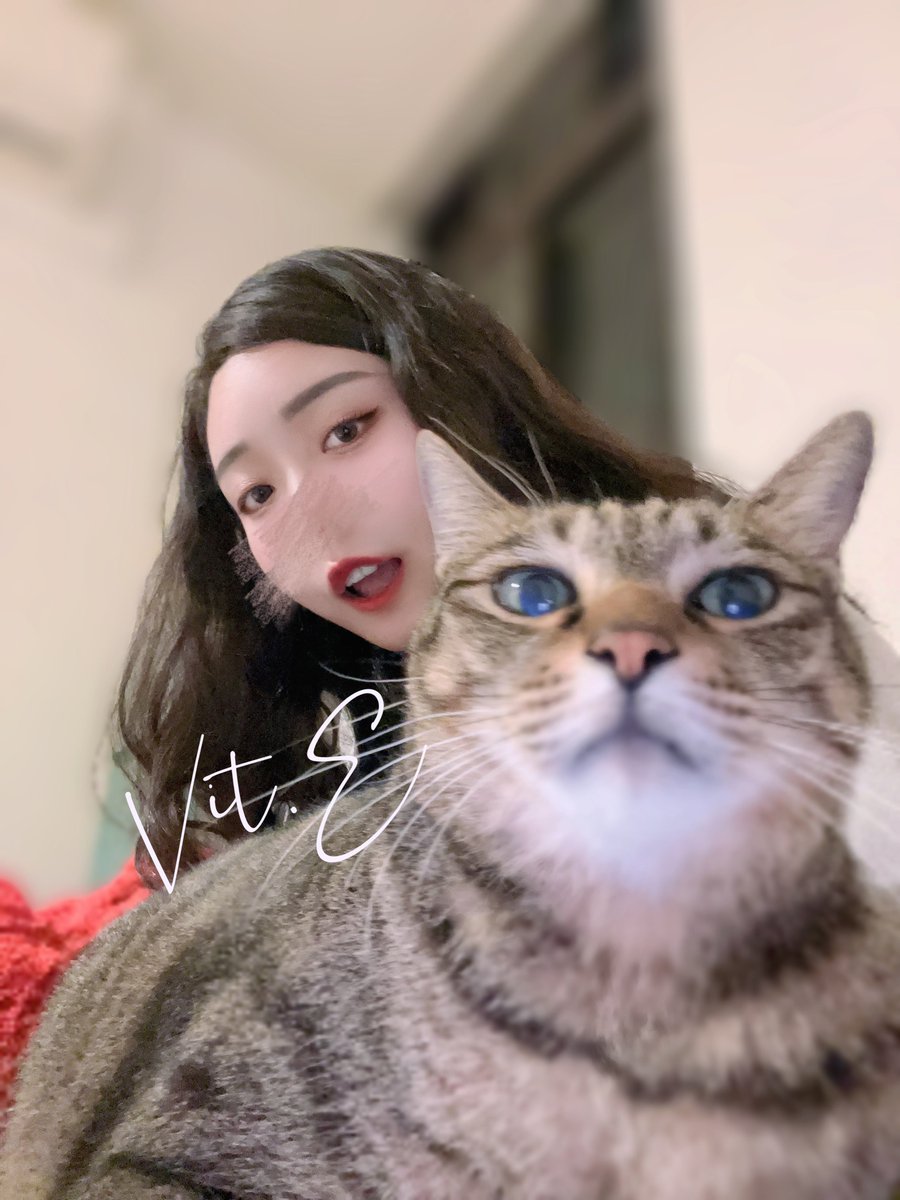 來參見寶爺👑

#三寶是隻話癆胖貓咪 https://t.co/es5AOEfzjS