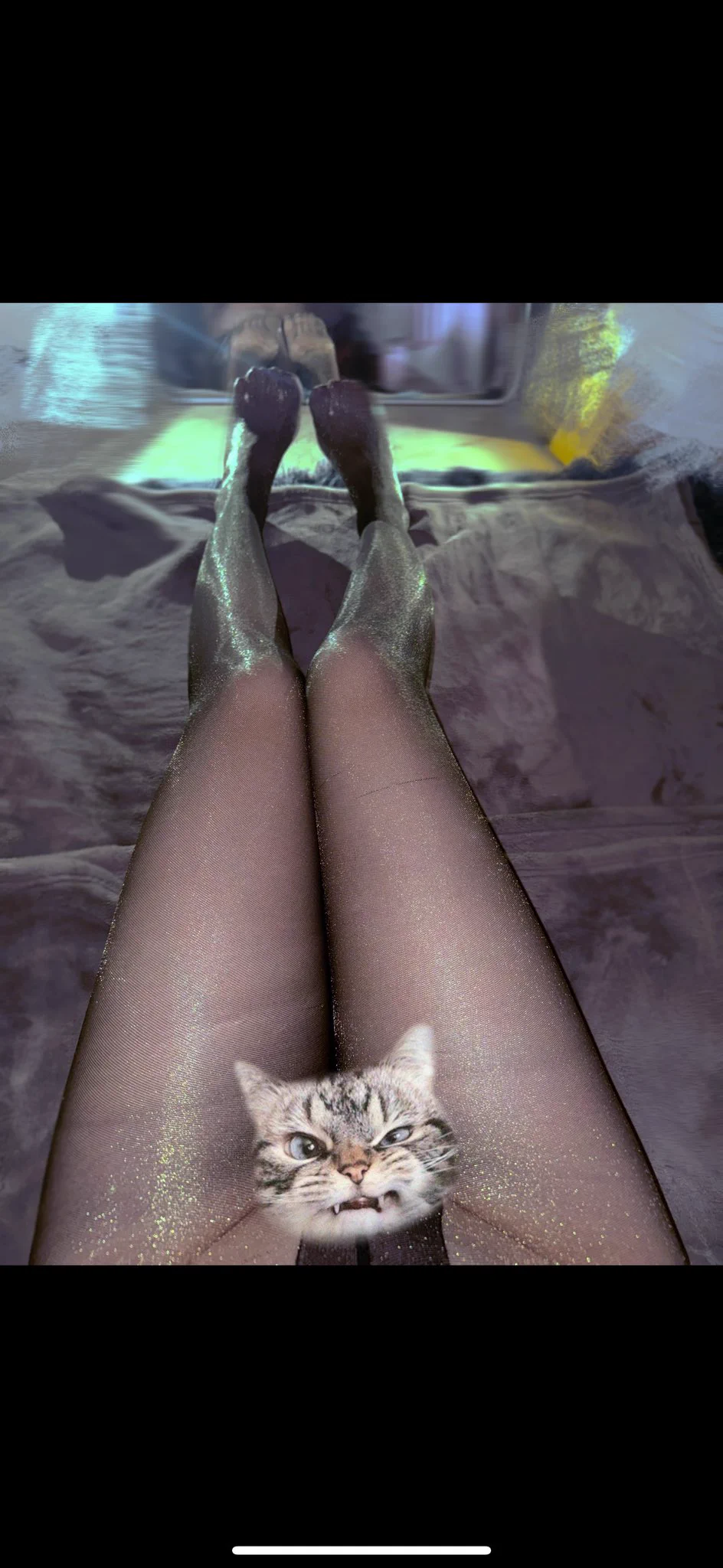 🐱 https://t.co/r8rhkw257j