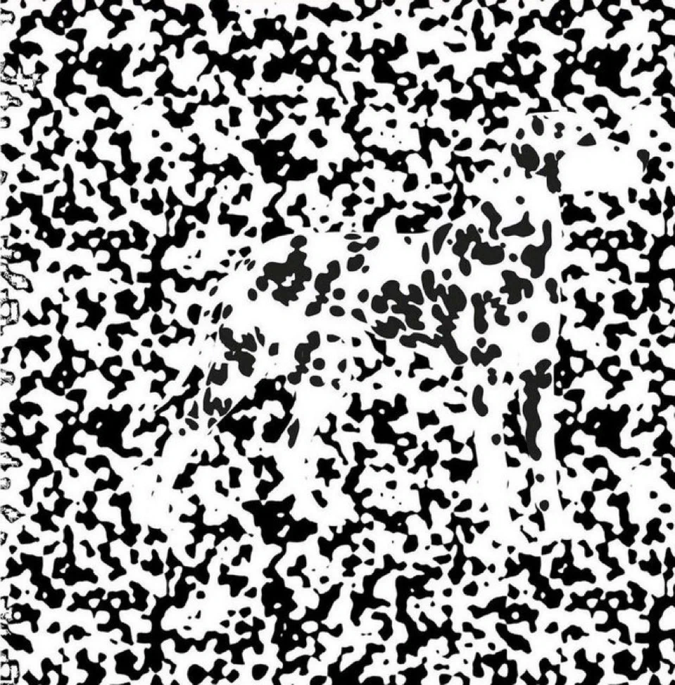 If you can see this you deserve $69,000,000 https://t.co/3o2Amb3HLu